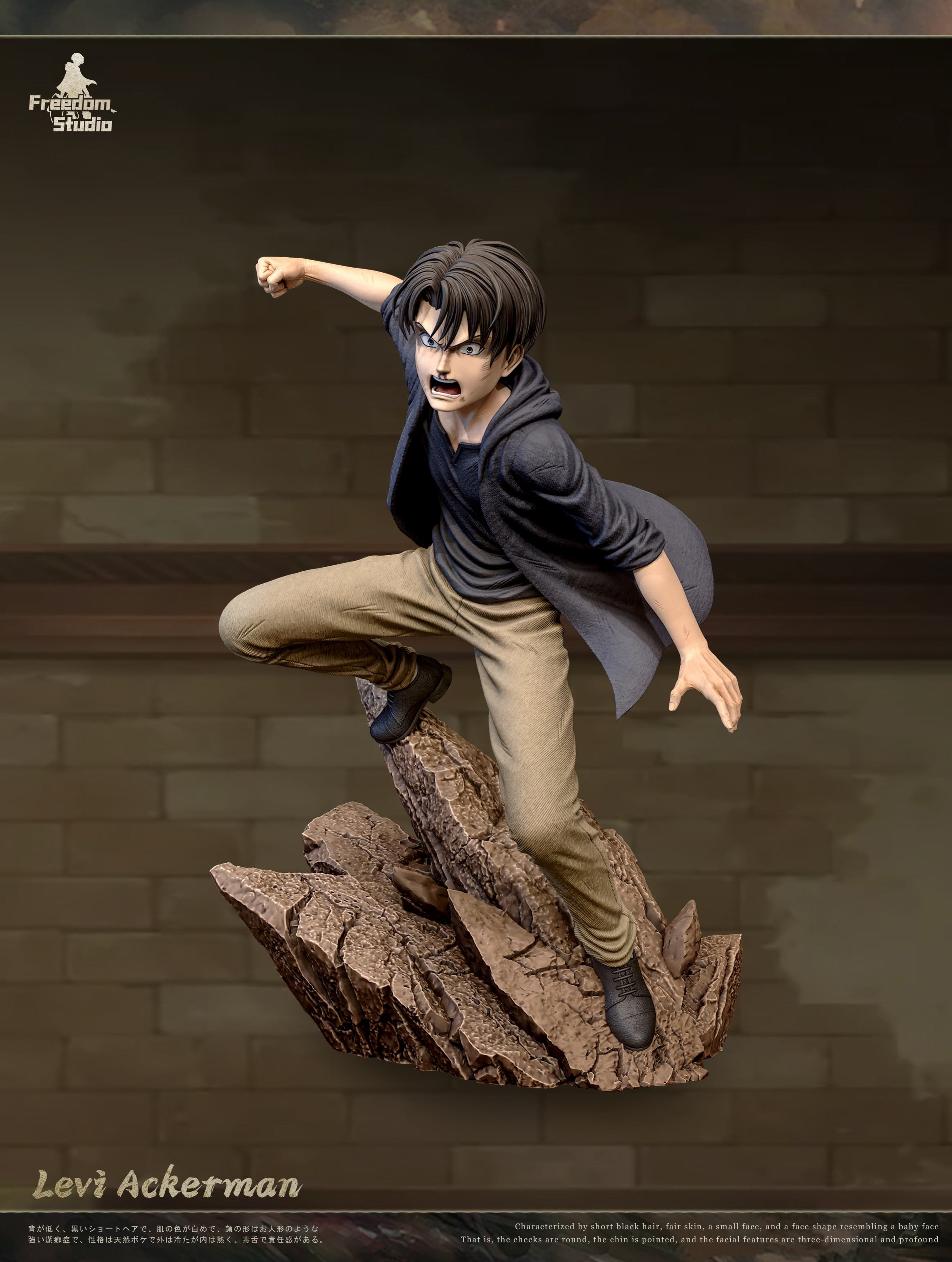 Attack on Titan Freedom Studio Childhood Levi 2