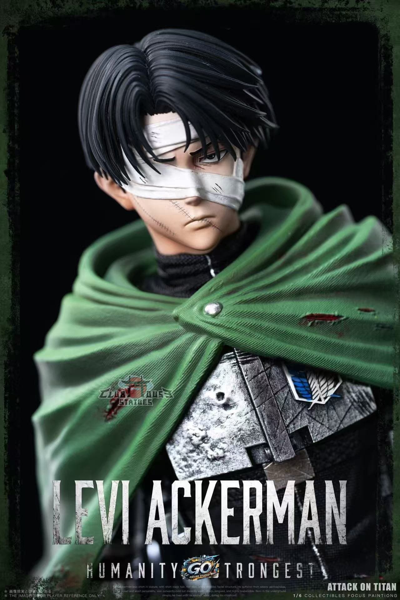 Attack On Titan Go Figure Studio Levi Ackerman 5