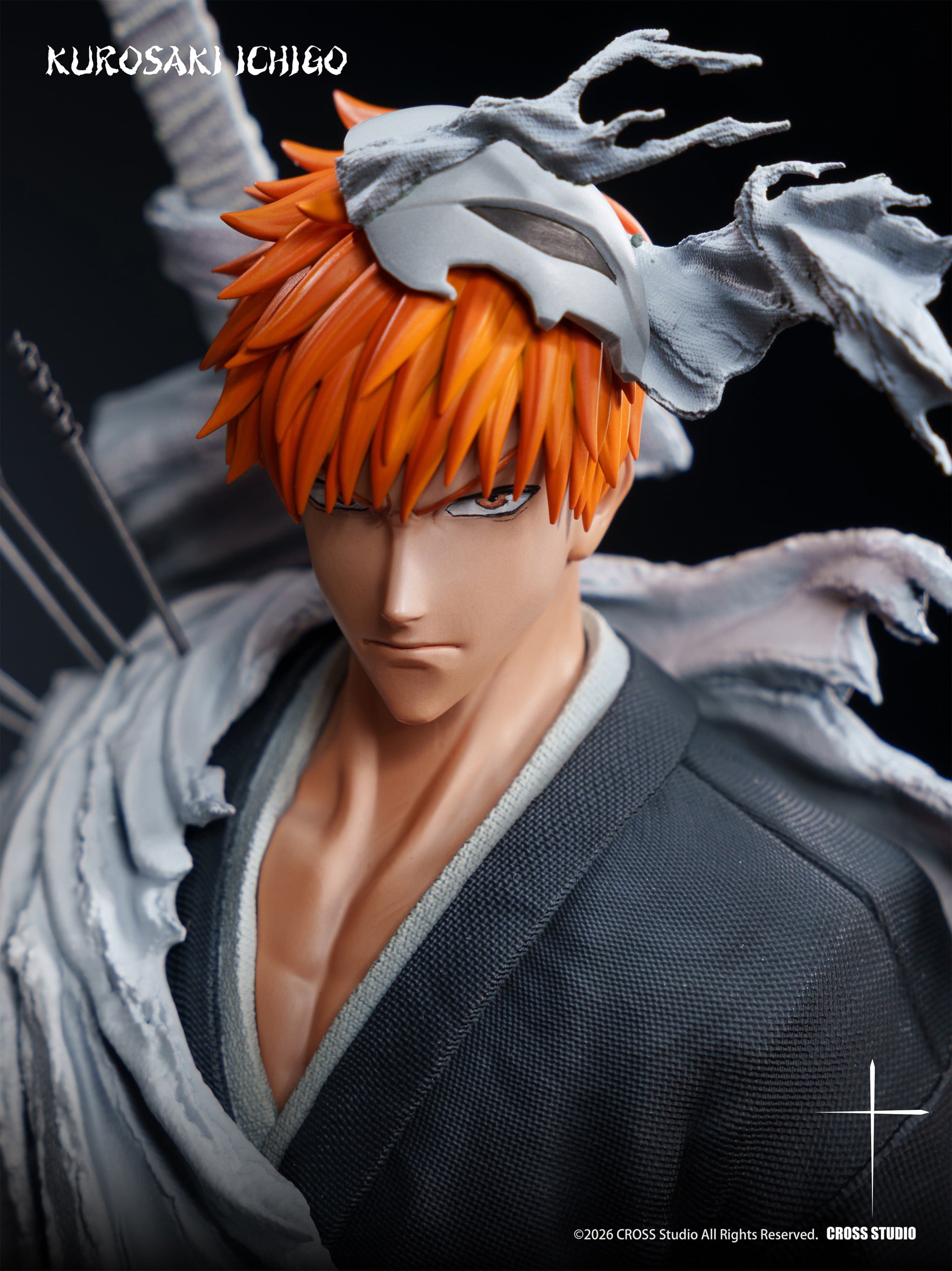 Bleach Cross Studio Ichigo Kurosaki 3