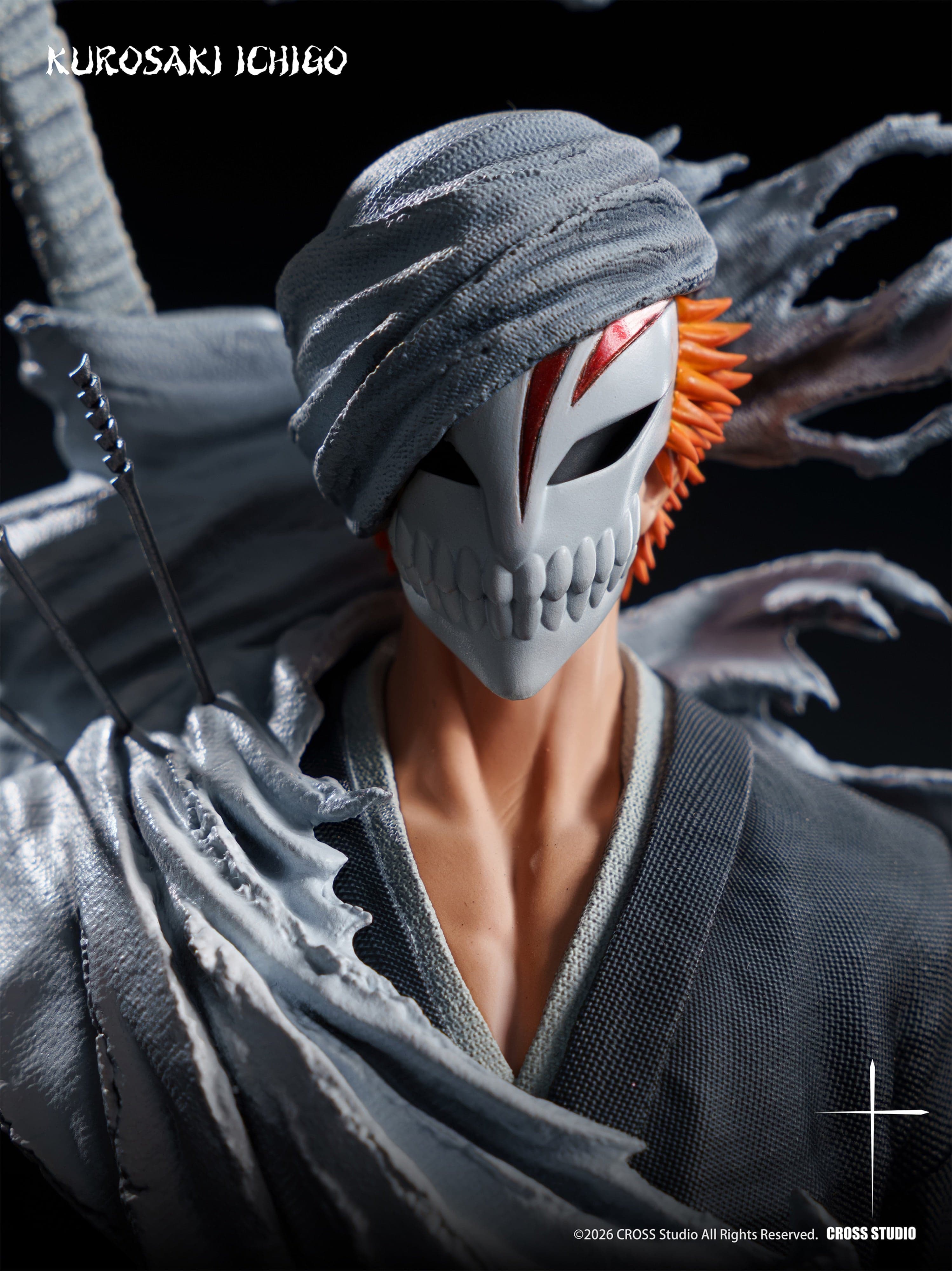Bleach Cross Studio Ichigo Kurosaki 4
