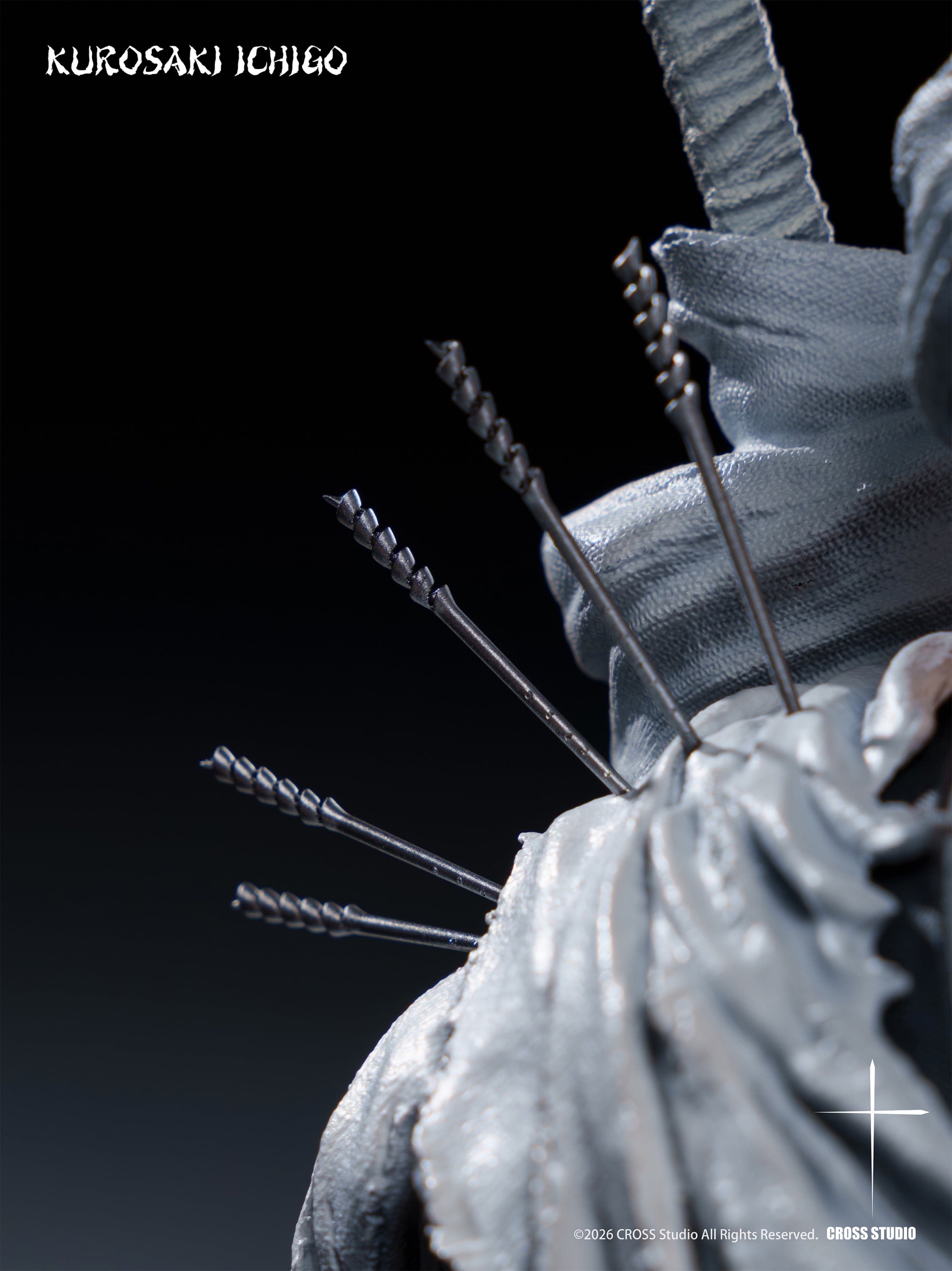 Bleach Cross Studio Ichigo Kurosaki 5