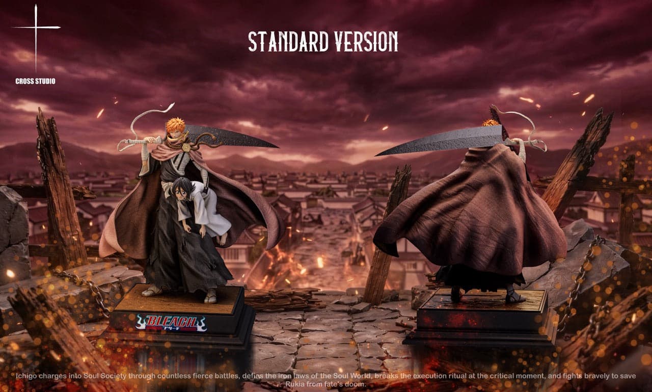 Bleach Cross Studio Kurosaki Ichigo 4