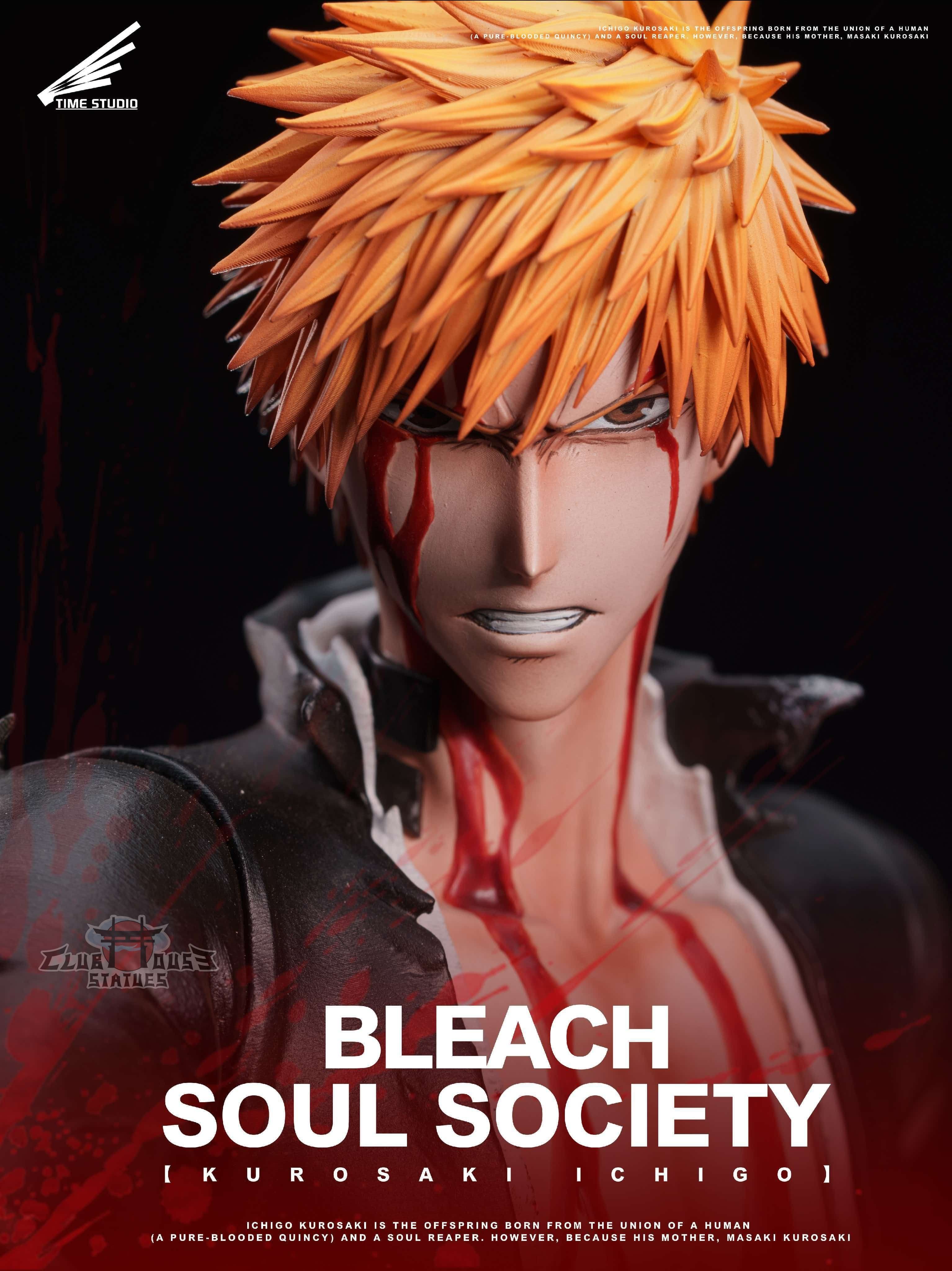Bleach Time Studio Bankai Ichigo 2