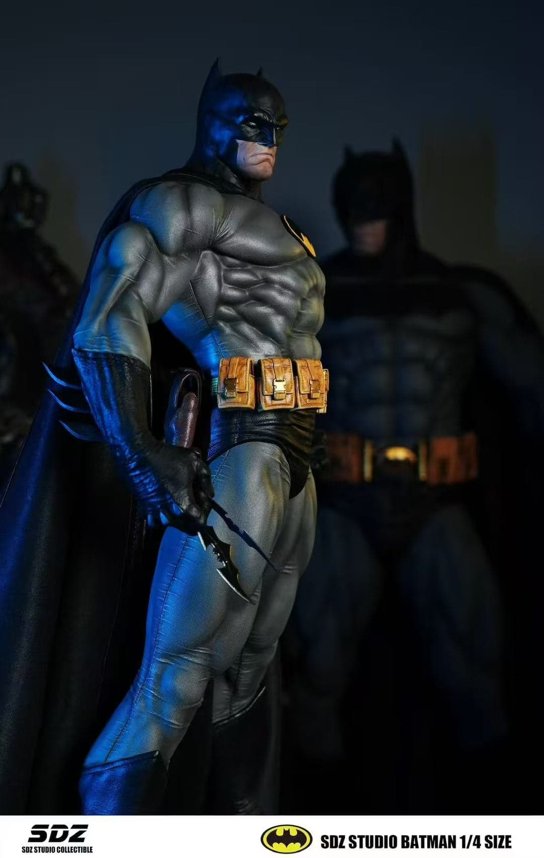 DC Comics SDZ Studio Batman 4