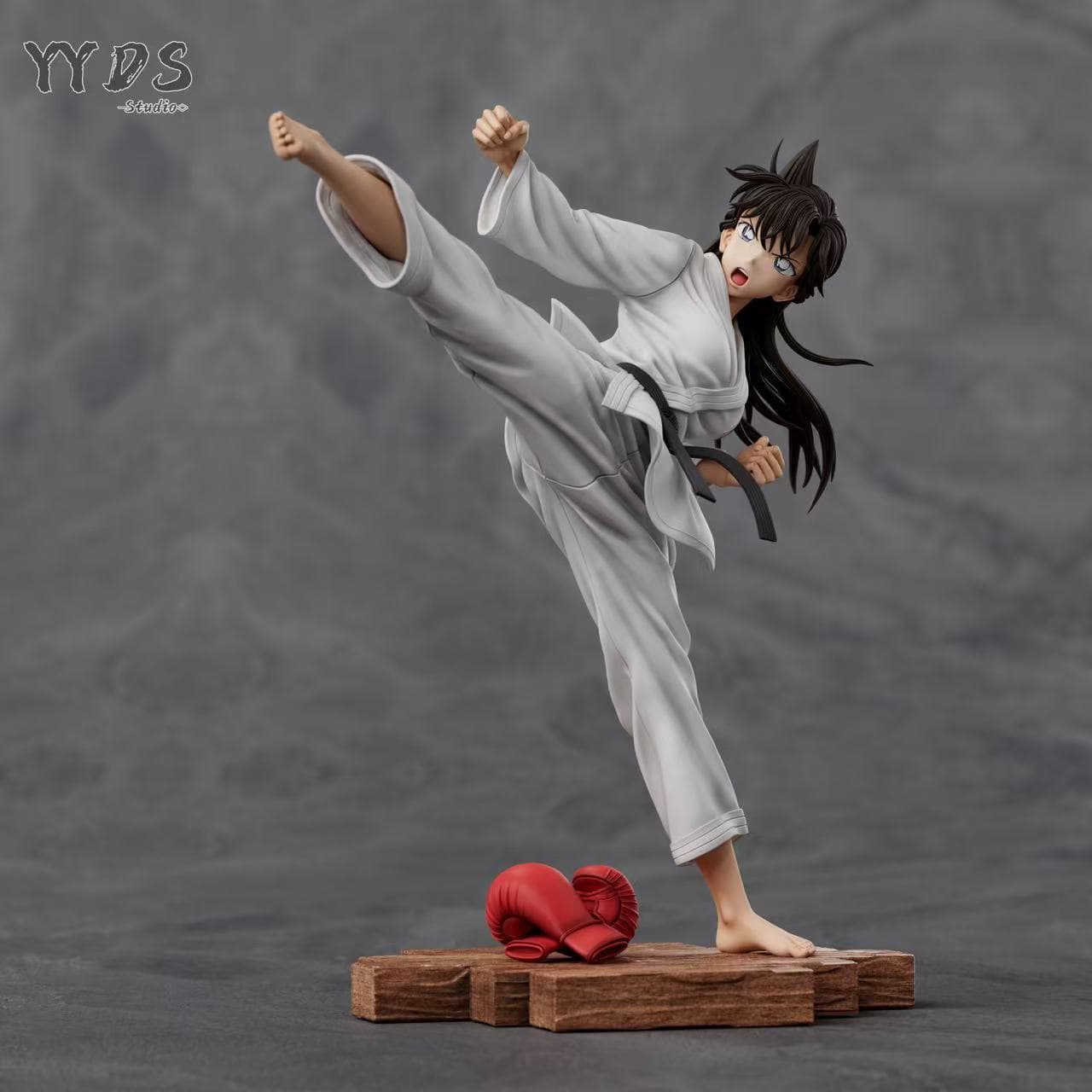 Detective Conan YYDS Studio Mouri Ran 1