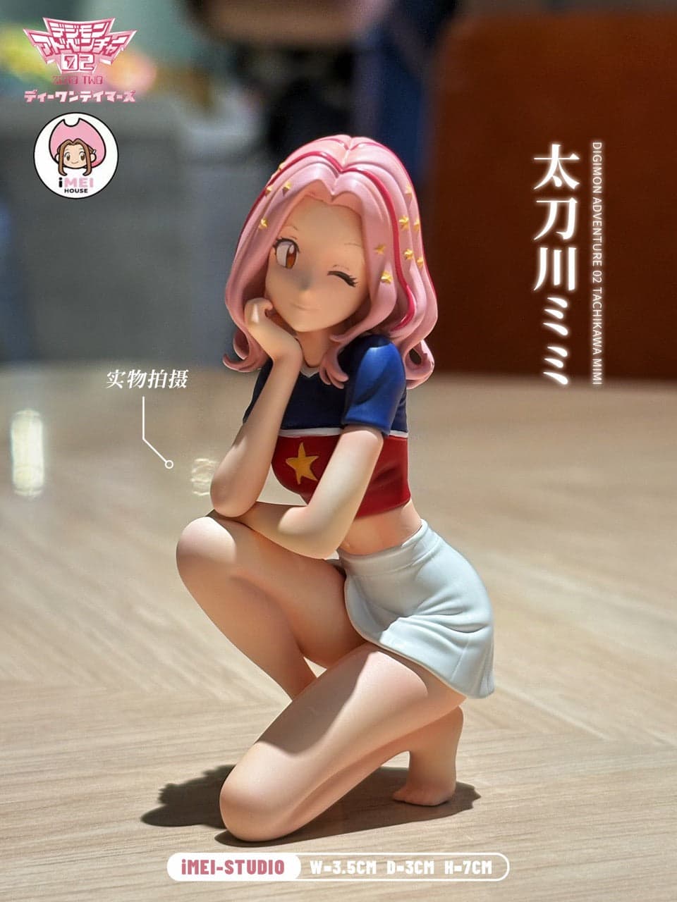 Digimon iMei Studio Mimi Tachikawa 1
