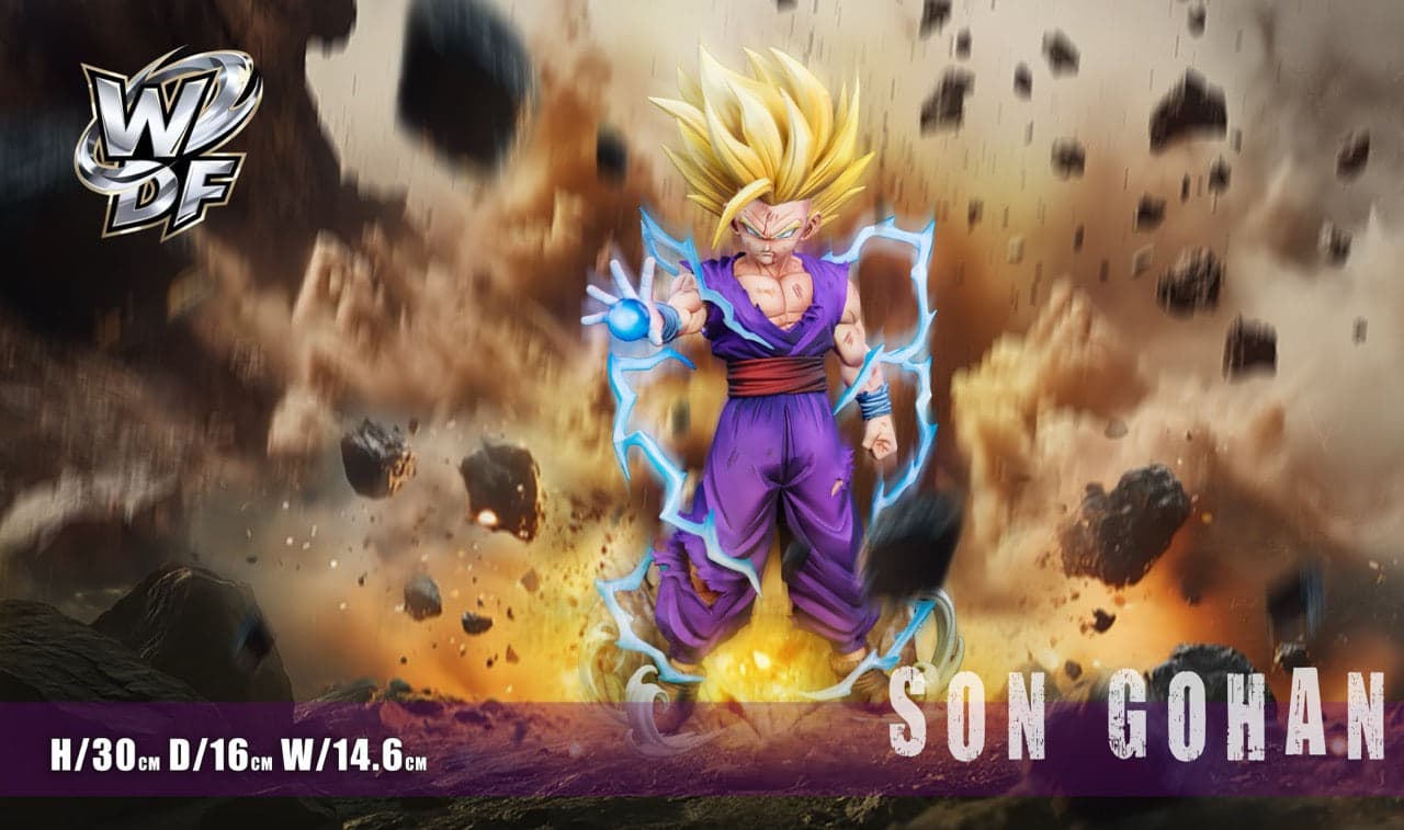 Dragon Ball WDF Studio Son Gohan SSJ2 5