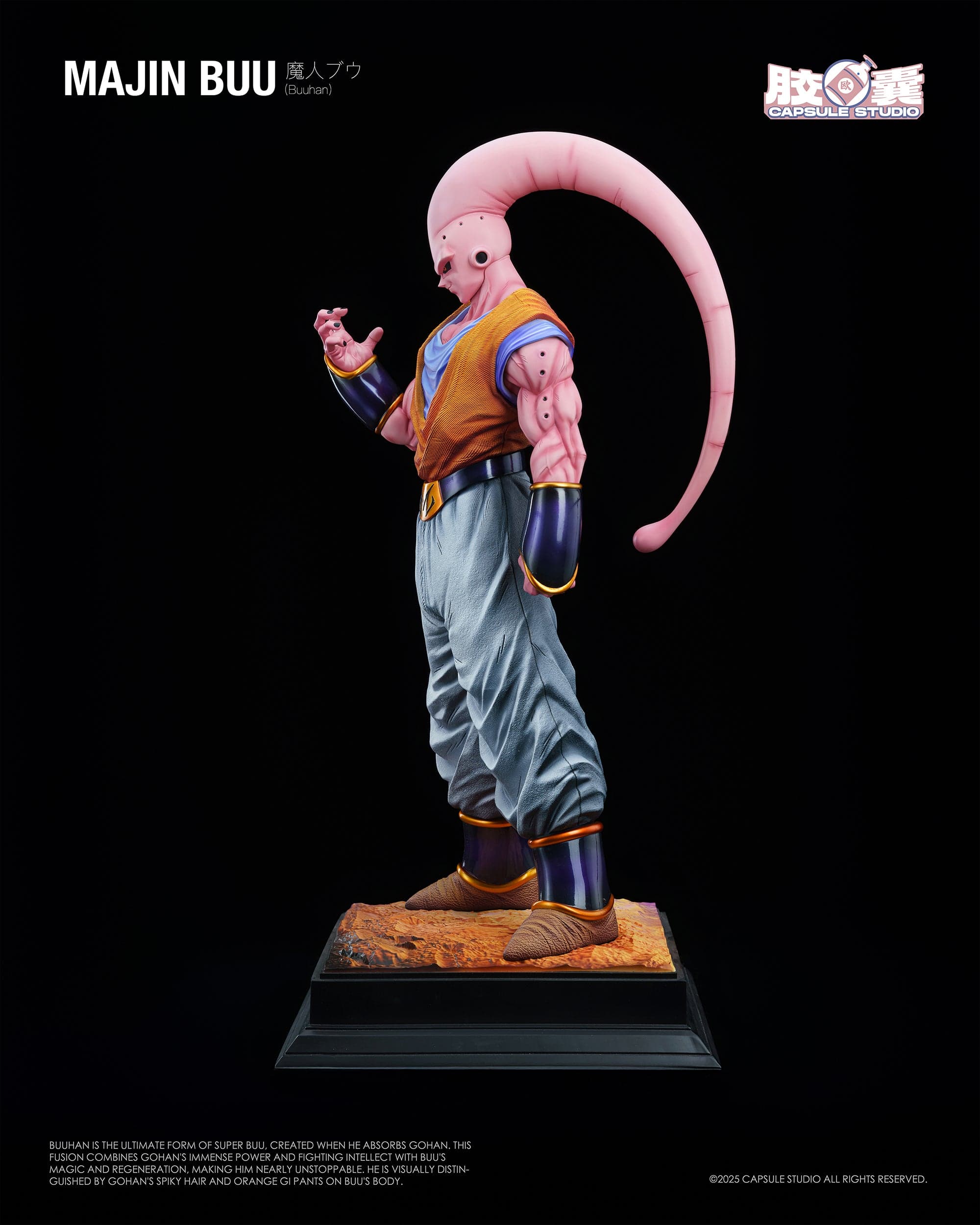 Dragon Ball Capsule Studio Gohan Buu 4