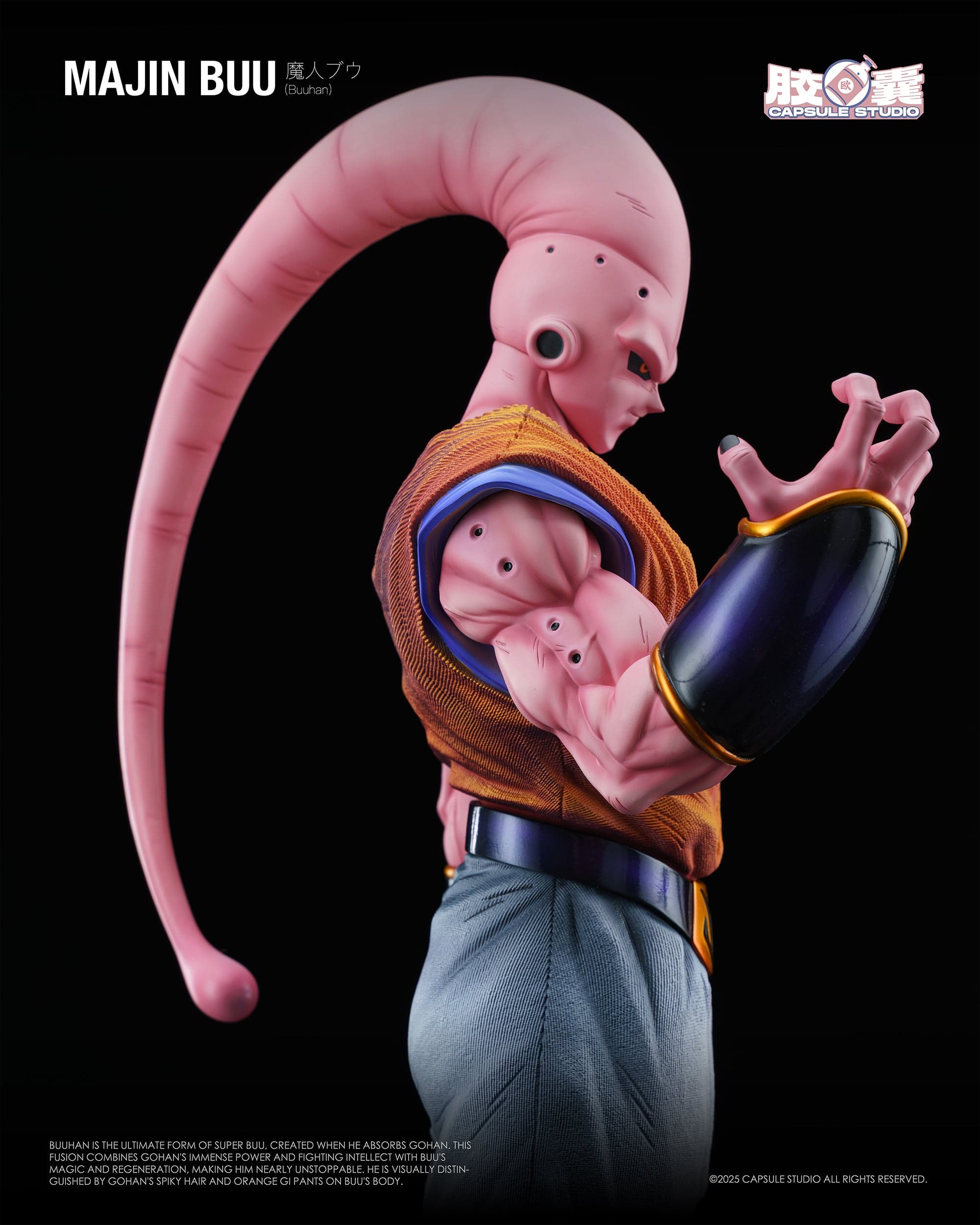 Dragon Ball Capsule Studio Gohan Buu 5