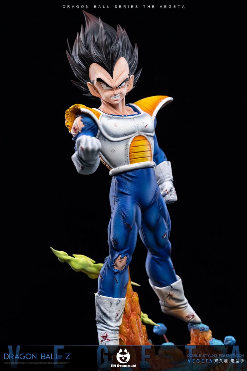 Dragon Ball EH Studio Vegeta 2