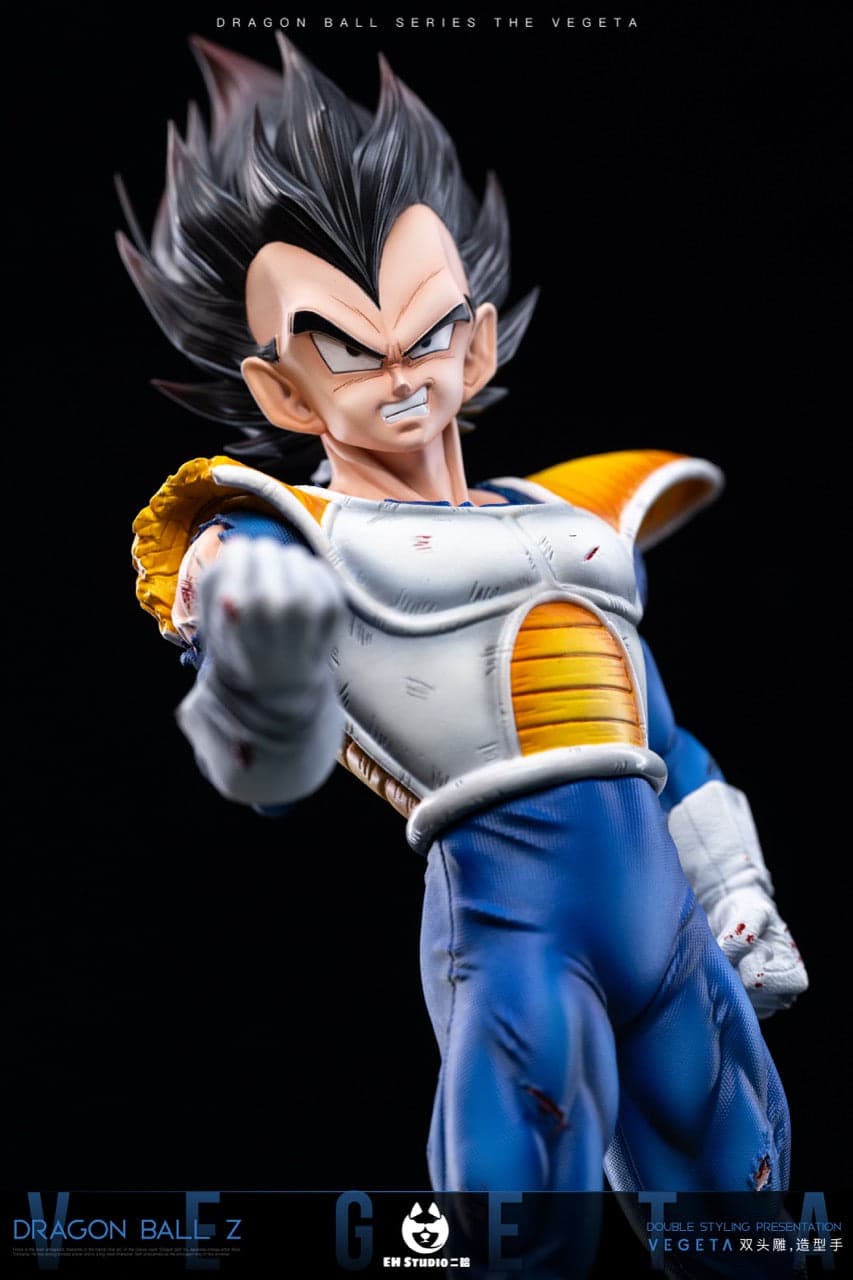 Dragon Ball EH Studio Vegeta 4