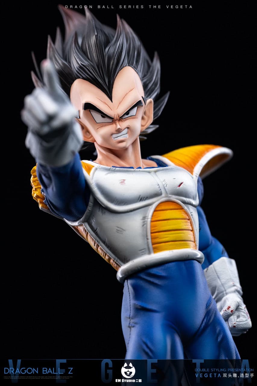 Dragon Ball EH Studio Vegeta 5