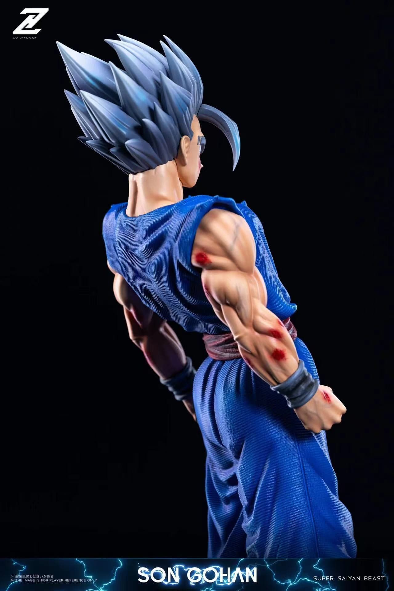 Dragon Ball HZ Studio Beast Gohan 4