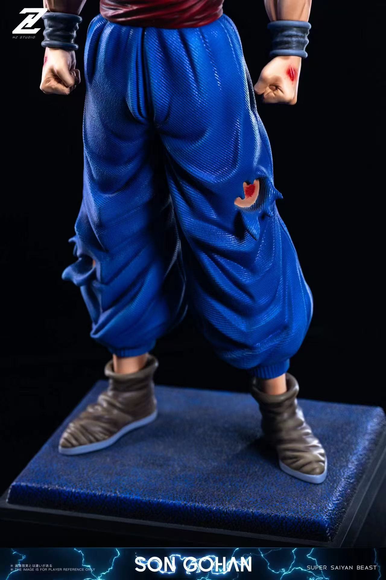 Dragon Ball HZ Studio Beast Gohan 5