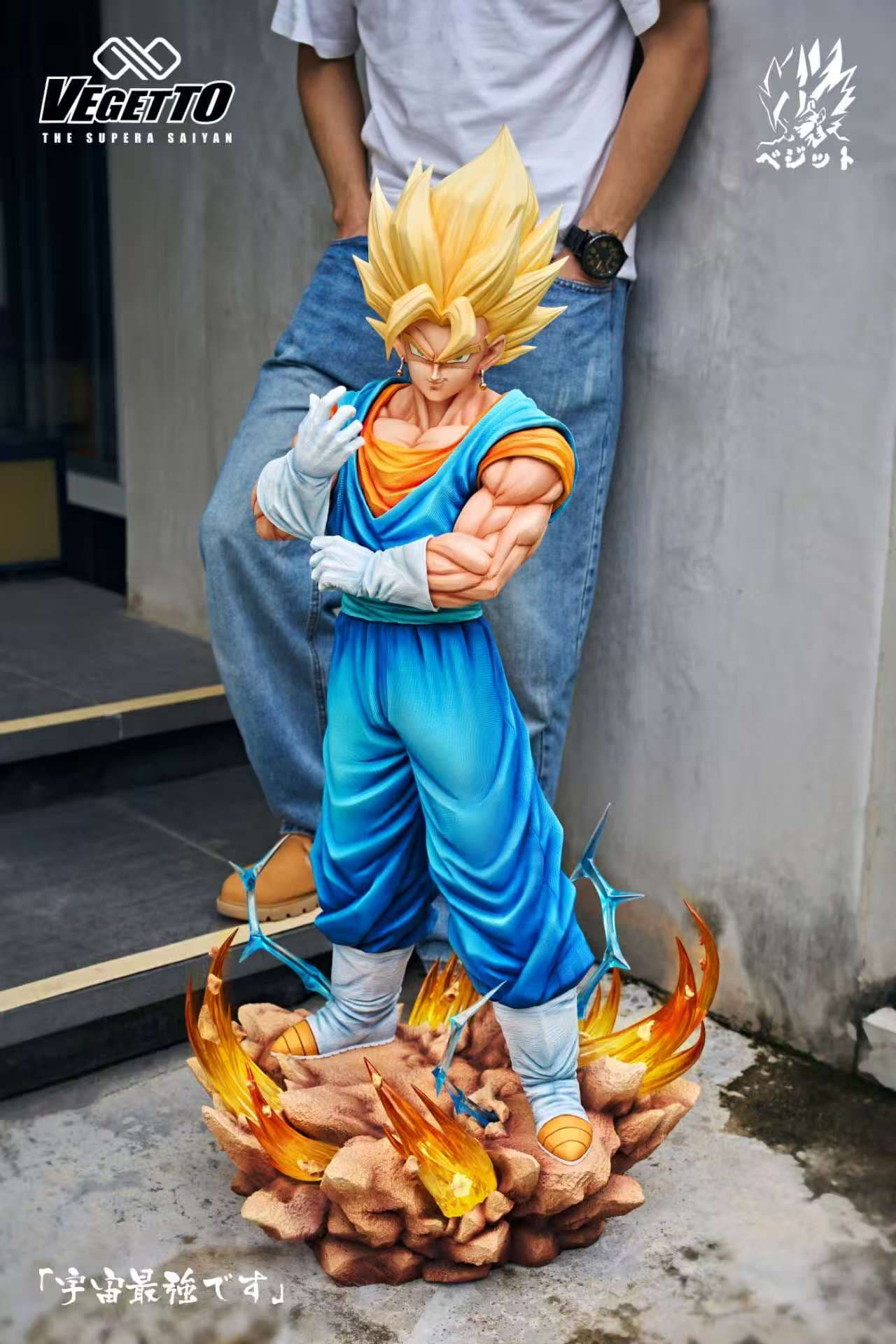 Dragon Ball Infinite Studio Vegetto 5