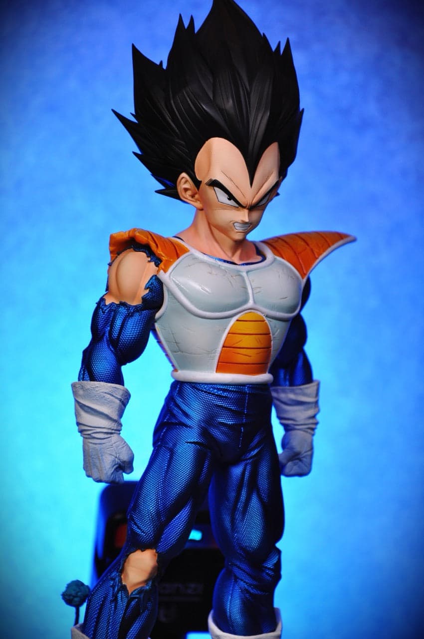 Dragon Ball Ji Studio Vegeta Namek 3