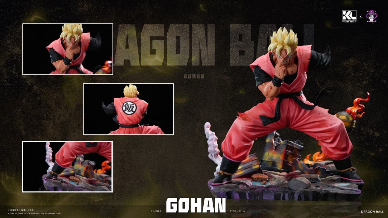 Dragon Ball Keep Real Studio Future Gohan 3