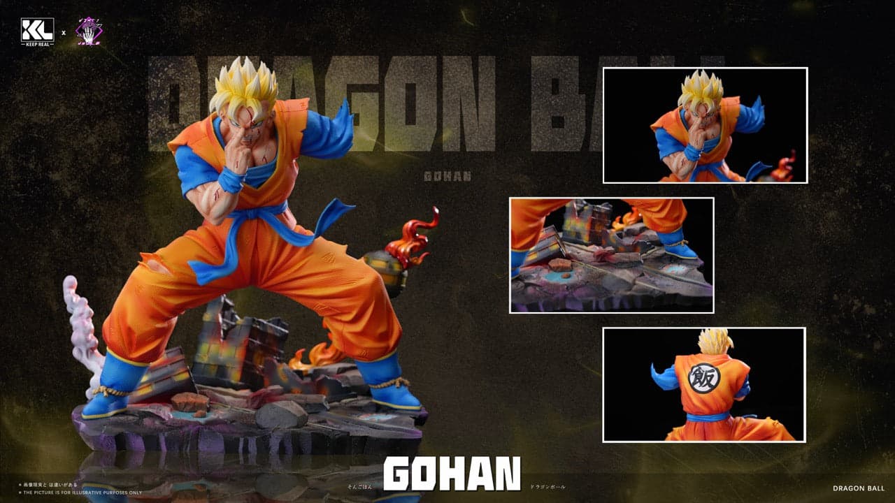 Dragon Ball Keep Real Studio Future Gohan 4