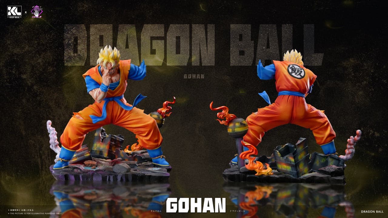 Dragon Ball Keep Real Studio Future Gohan 5