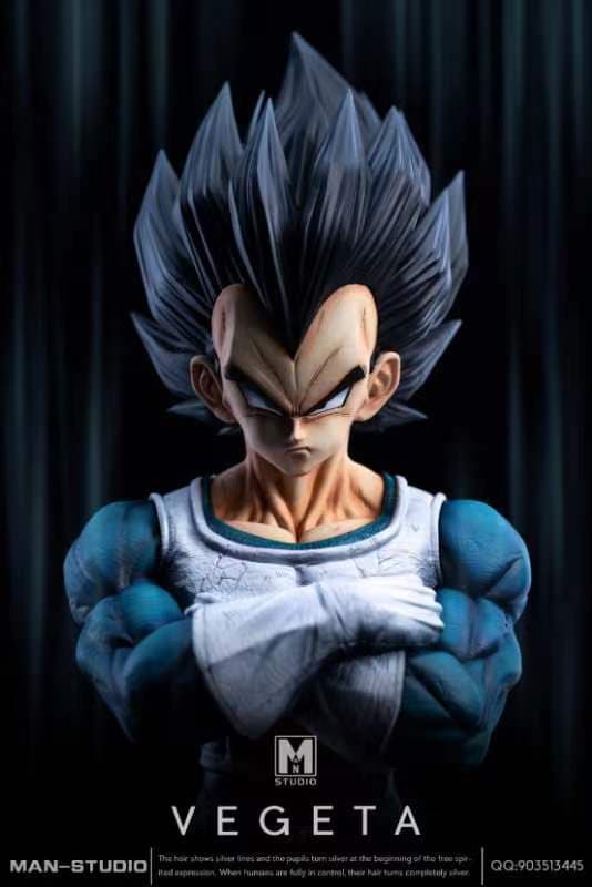 Dragon Ball MAN Studio Vegeta 2