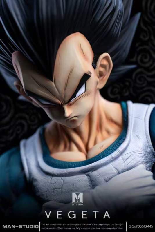 Dragon Ball MAN Studio Vegeta 3