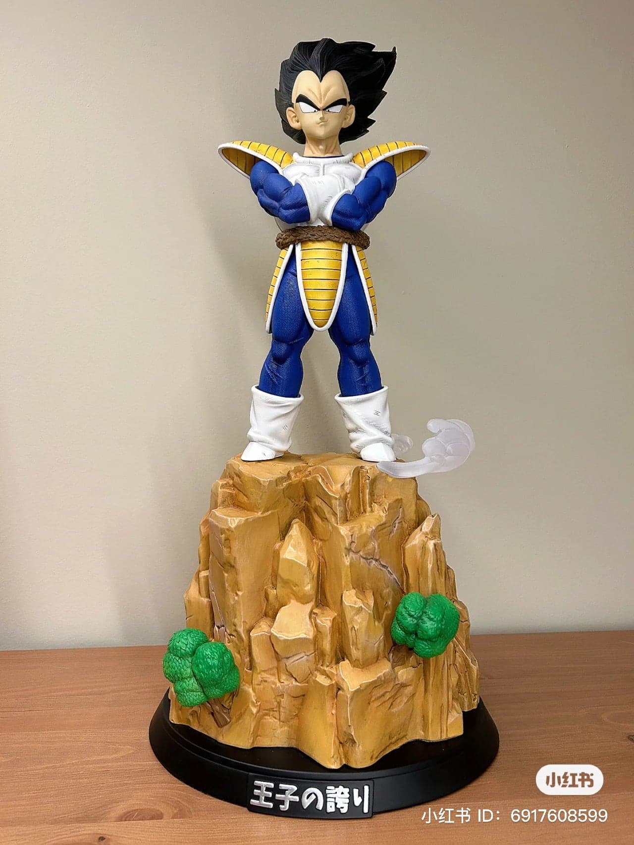 Dragon Ball Real Creation Studio Vegeta VS Goku 3