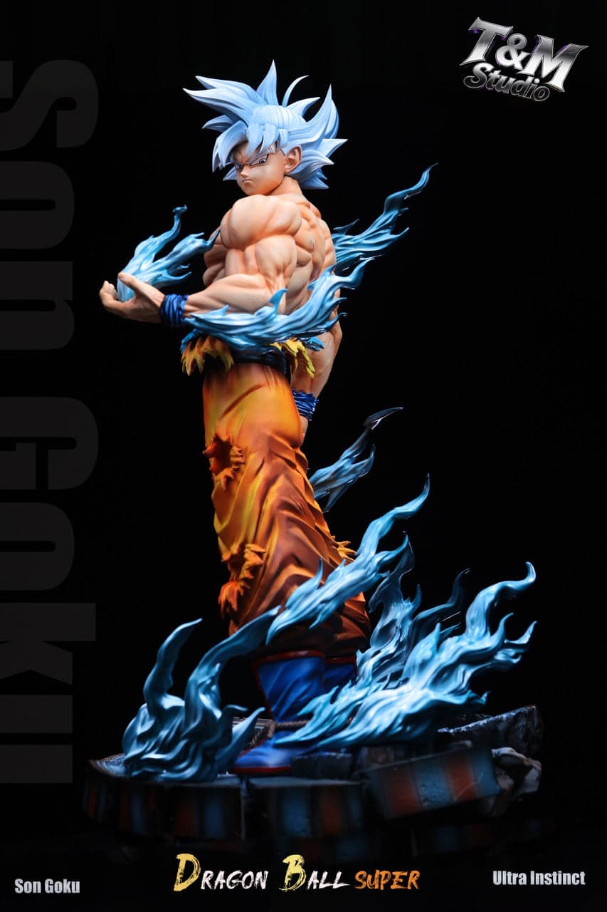 Dragon Ball T&M Studio Goku UI 2