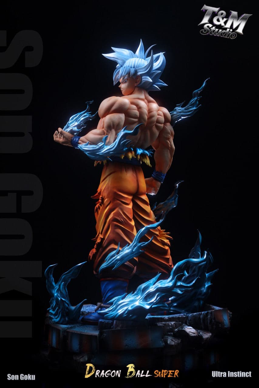 Dragon Ball T&M Studio Goku UI 3