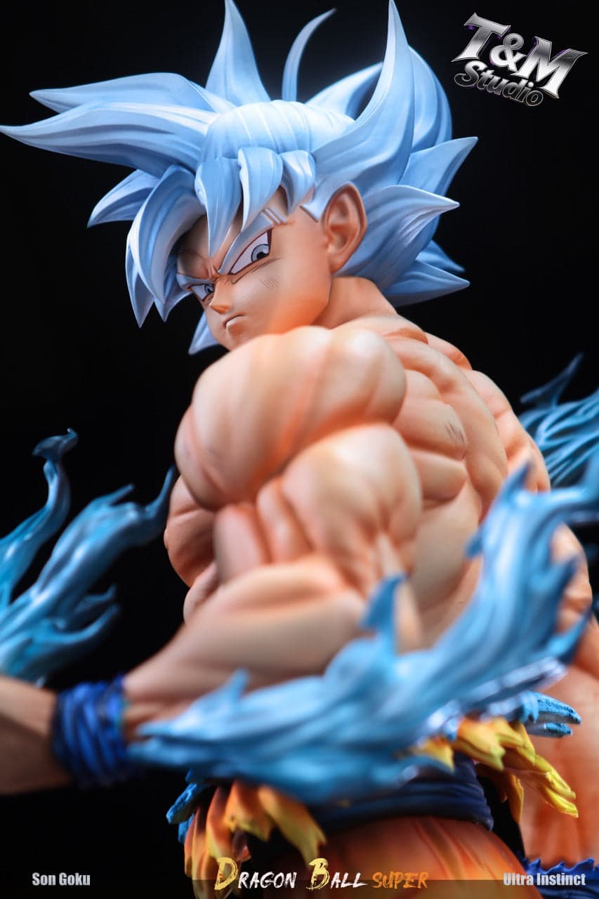 Dragon Ball T&M Studio Goku UI 4