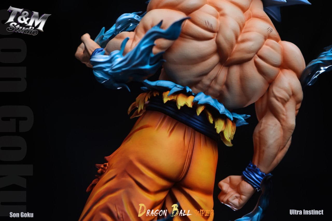 Dragon Ball T&M Studio Goku UI 5