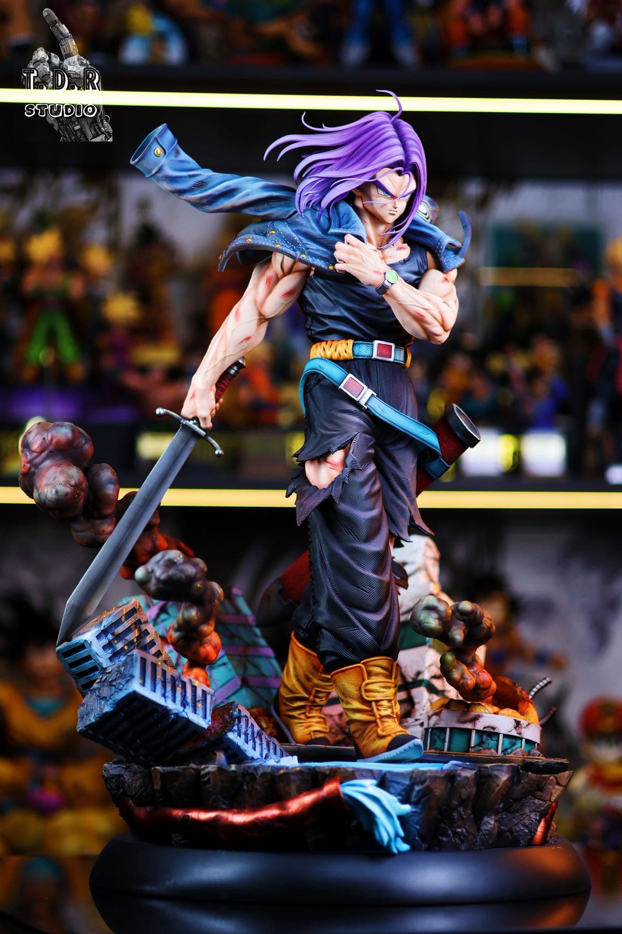 Dragon Ball TDR Studio Future Trunks 4