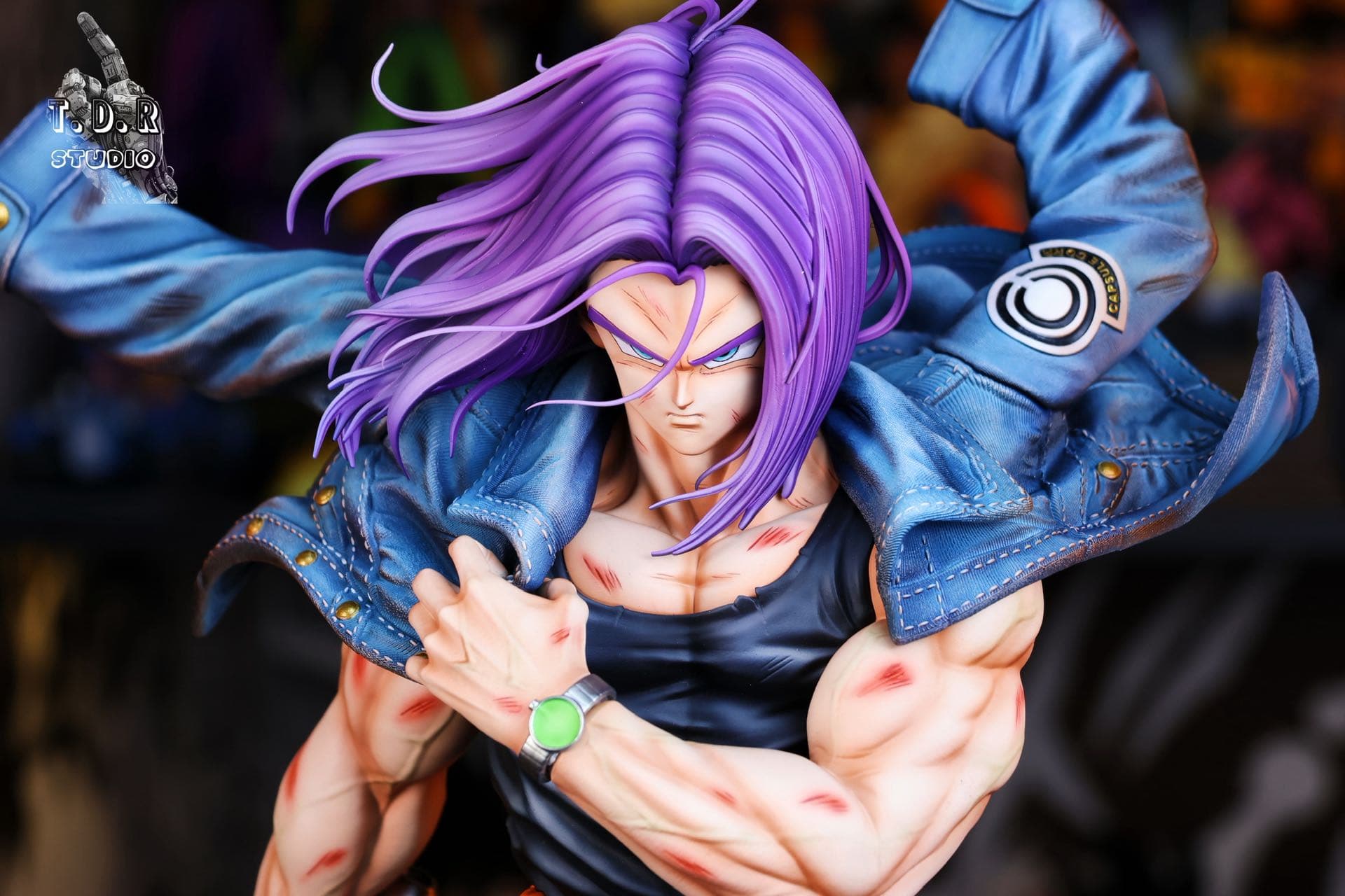 Dragon Ball TDR Studio Future Trunks 5