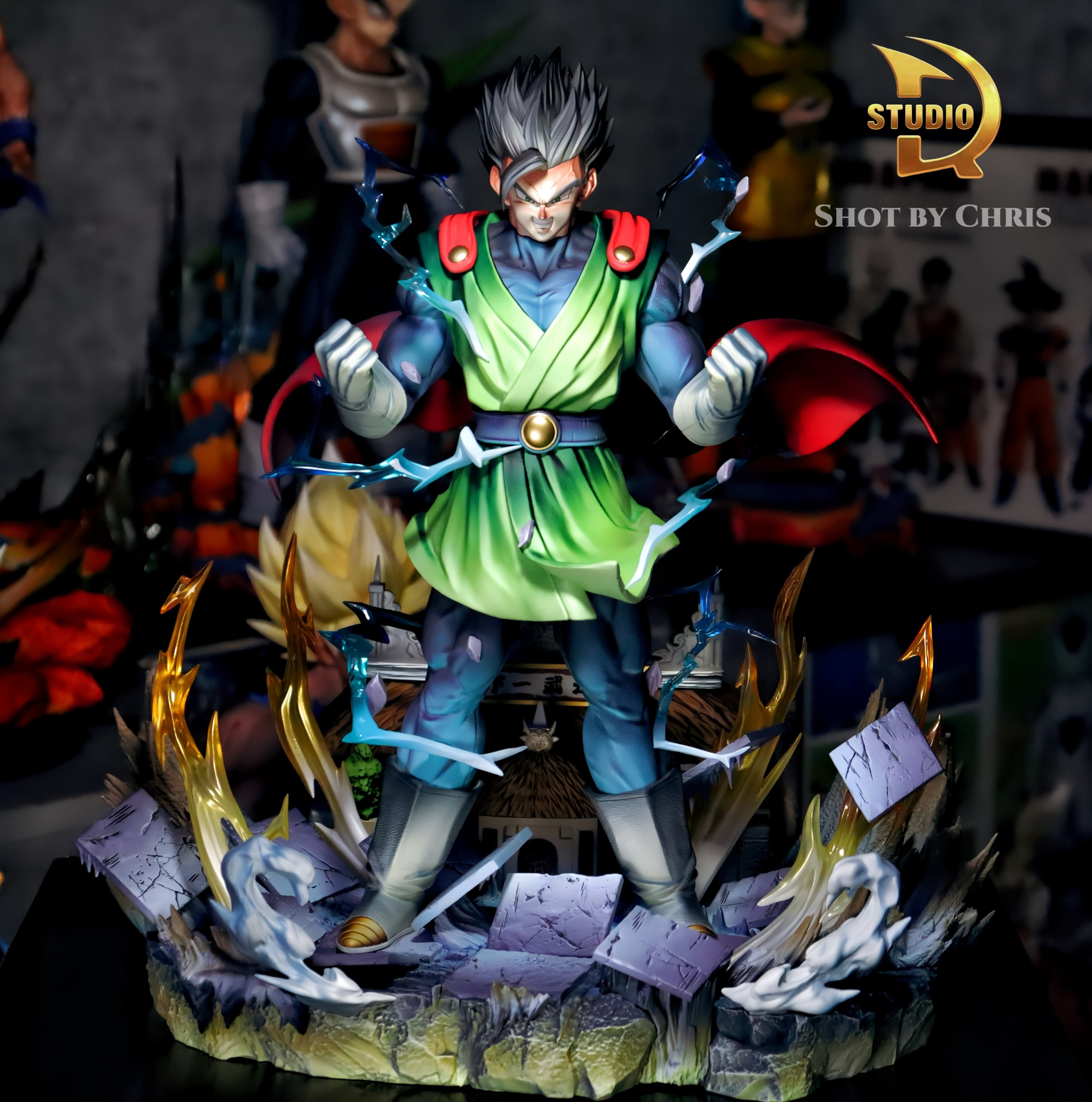 Dragon Ball TDR Studio Son Gohan 2