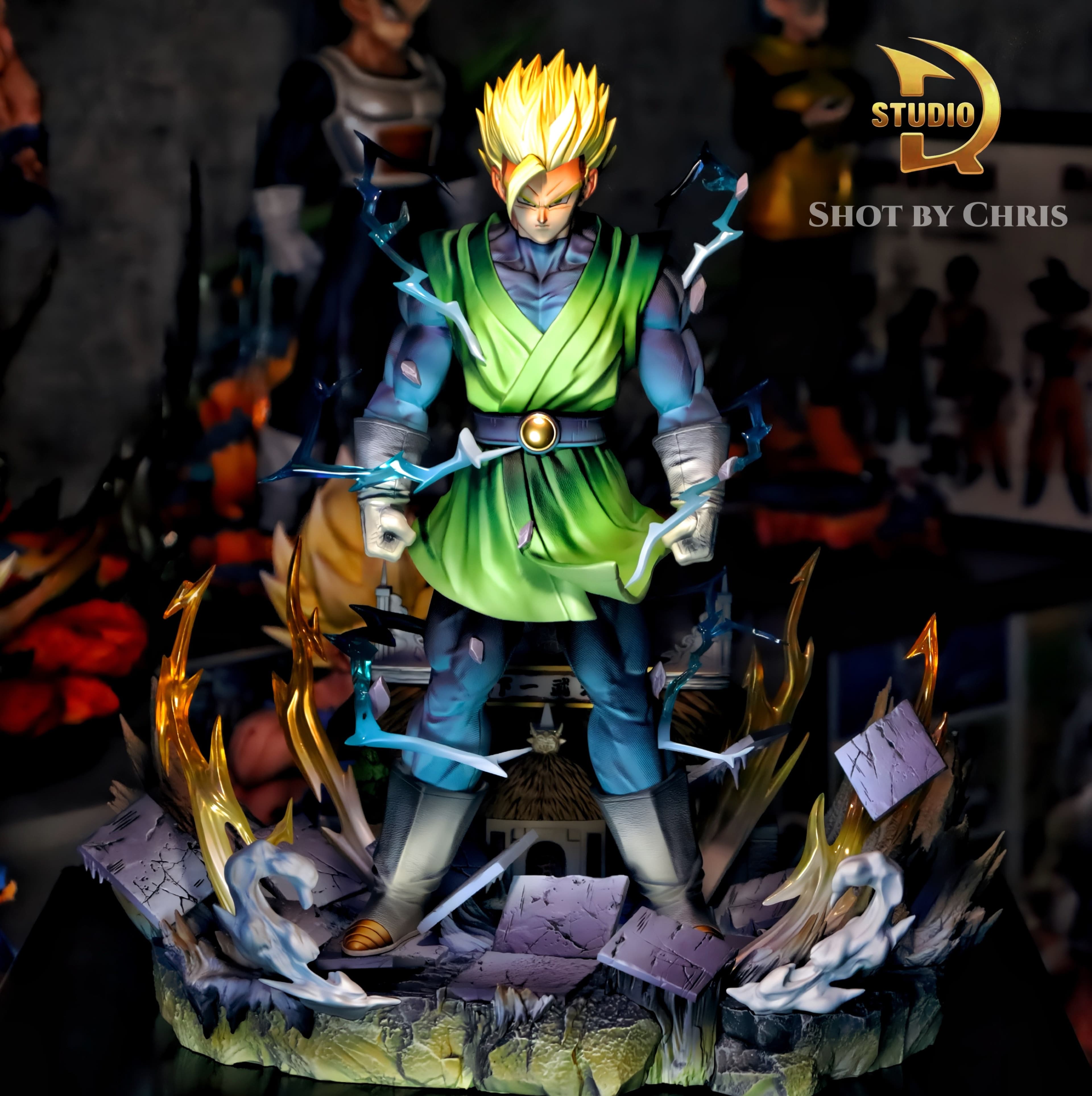 Dragon Ball TDR Studio Son Gohan 3