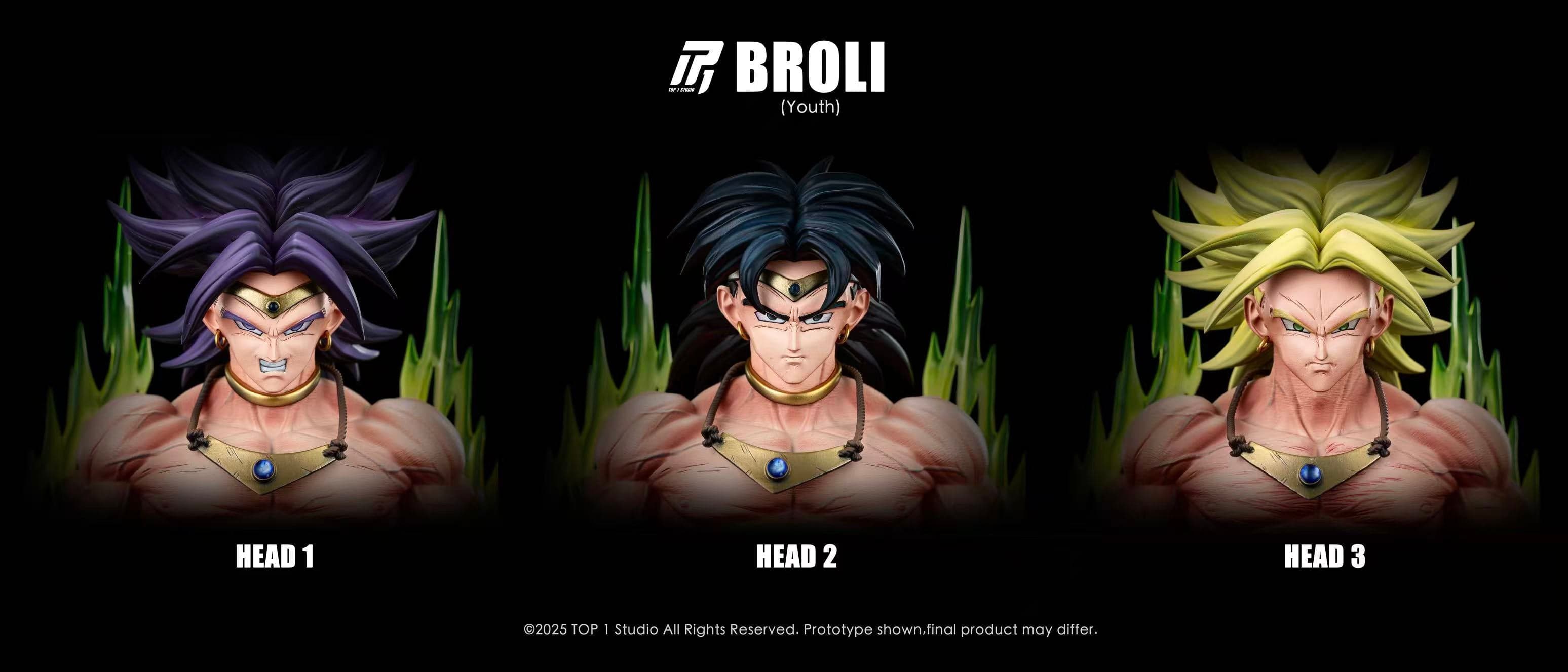 Dragon Ball Top 1 Studio Broly 5
