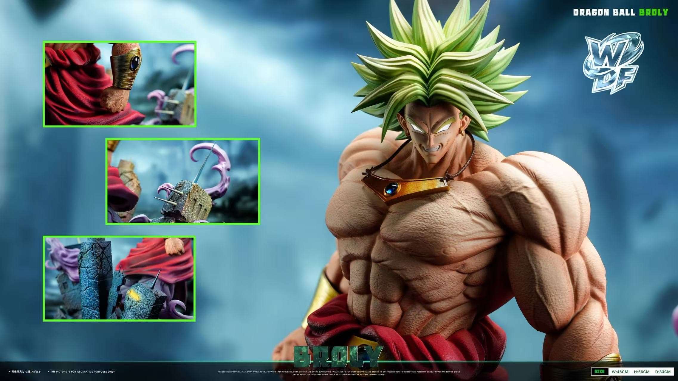 Dragon Ball WDF Studio Broly 3