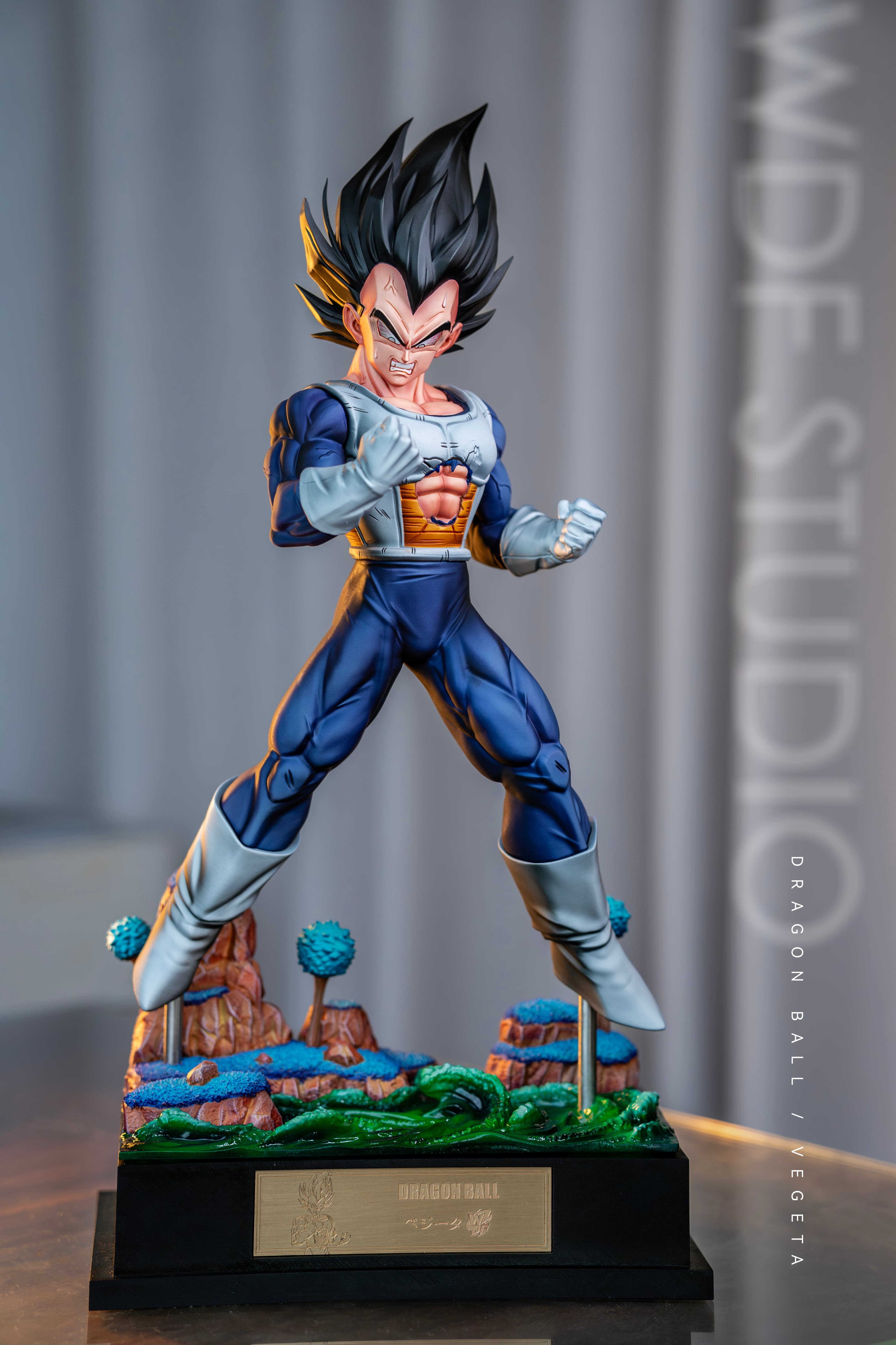 Dragon Ball WDF Studio Vegeta Namek 1