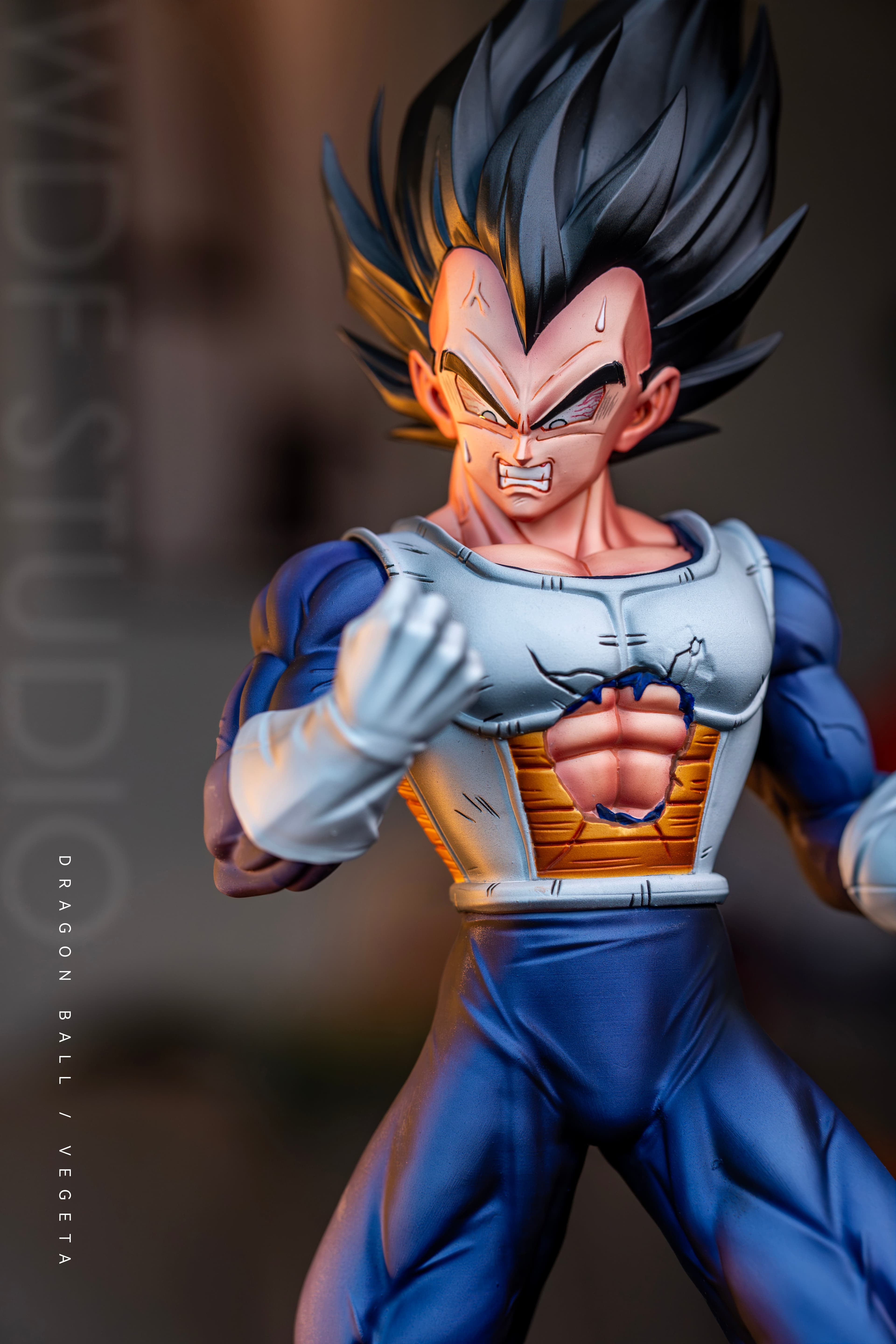 Dragon Ball WDF Studio Vegeta Namek 2