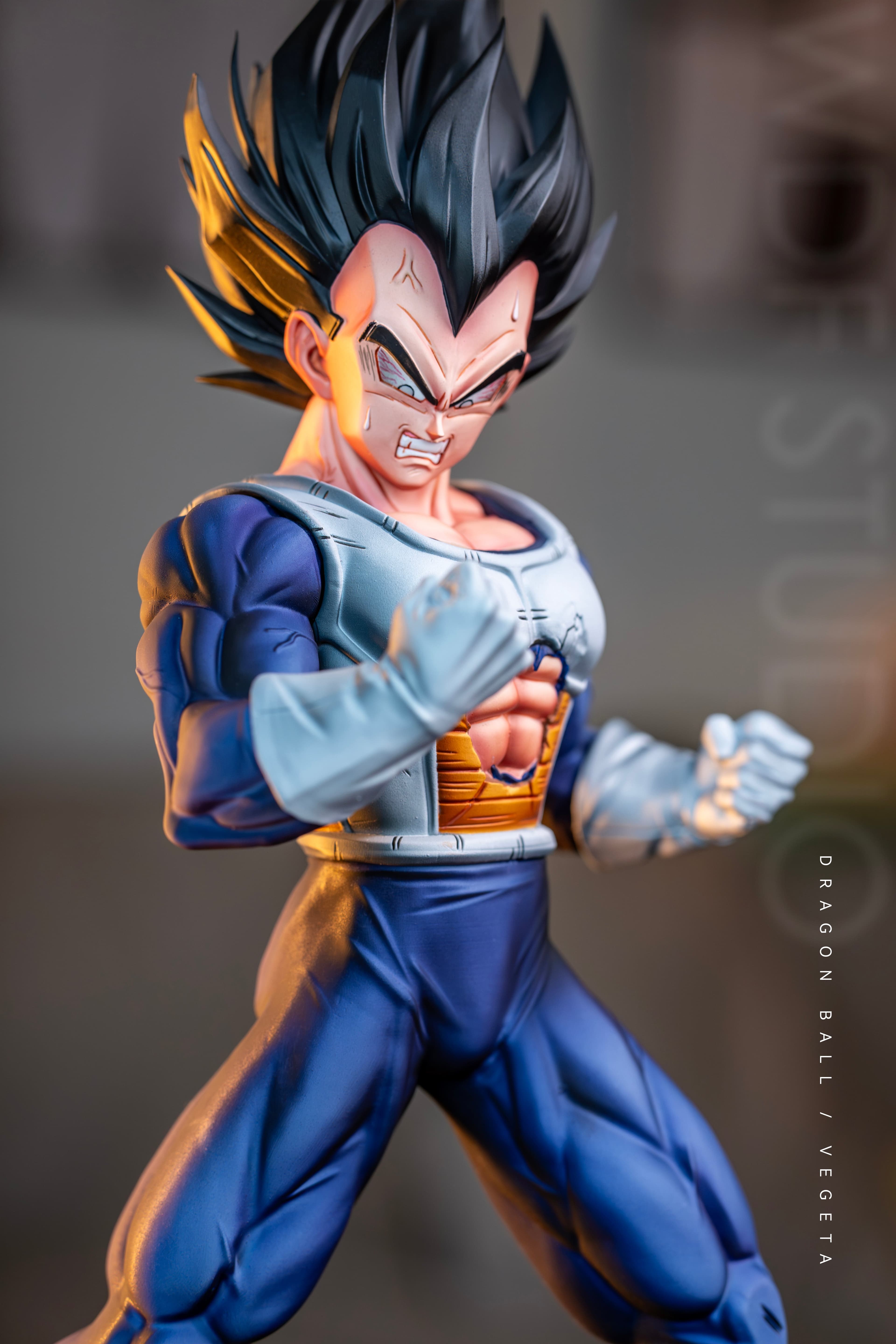 Dragon Ball WDF Studio Vegeta Namek 4