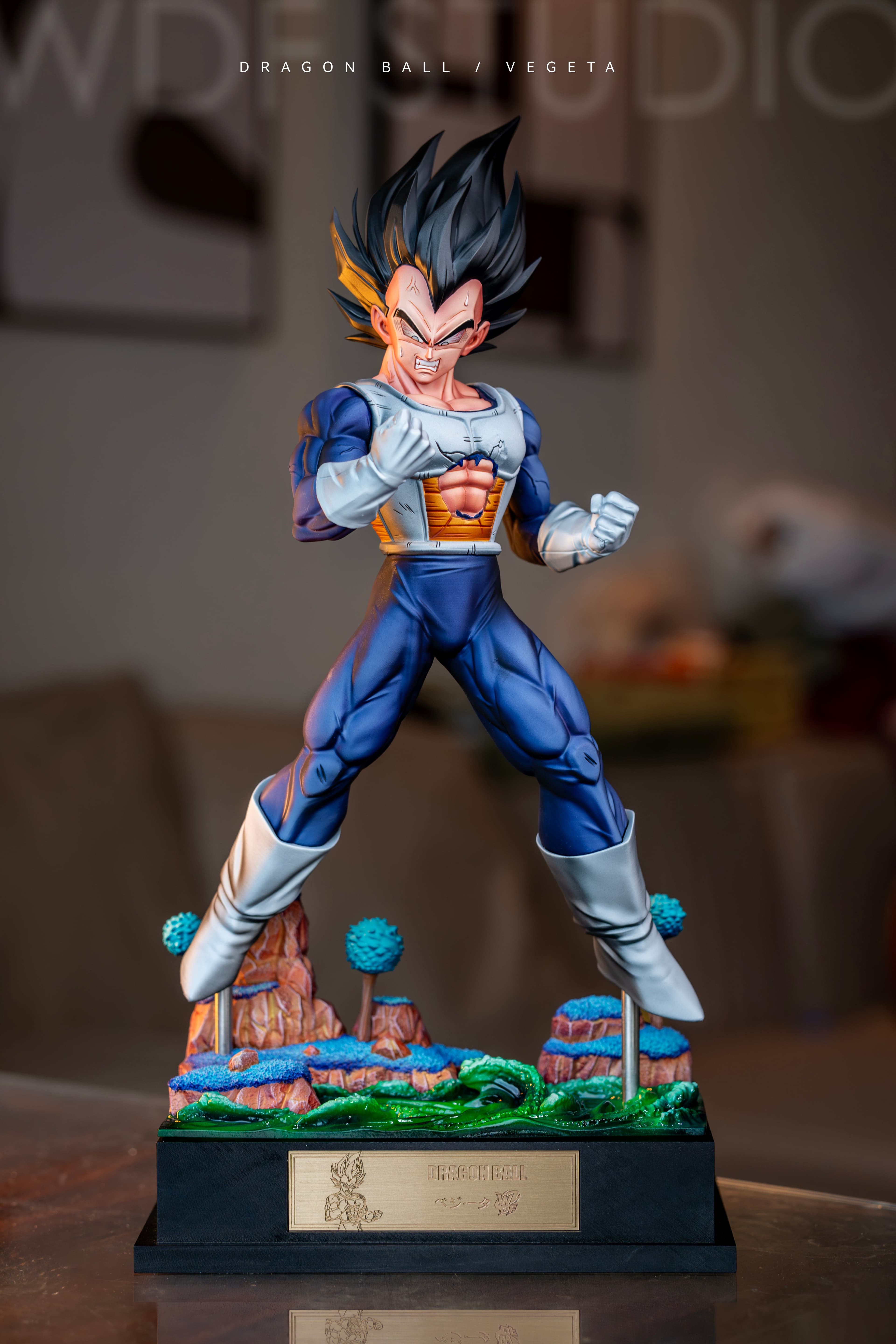 Dragon Ball WDF Studio Vegeta Namek 5