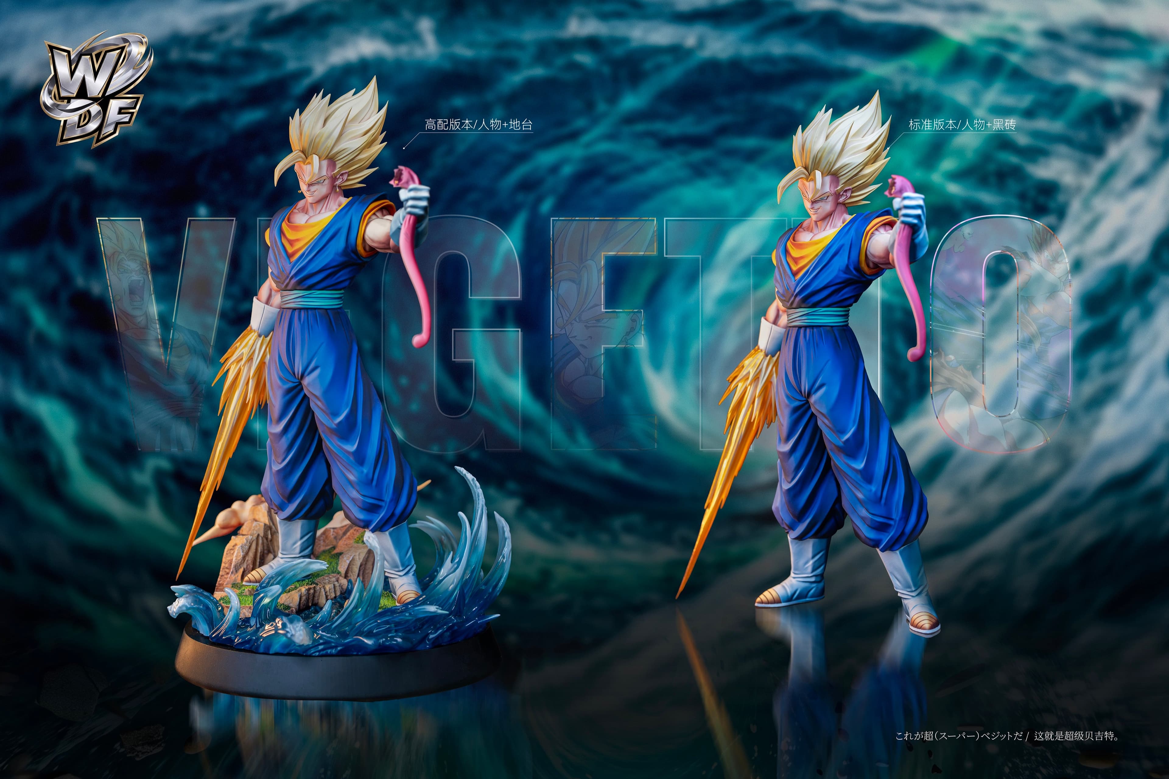 Dragon Ball WDF Studio Vegito 5