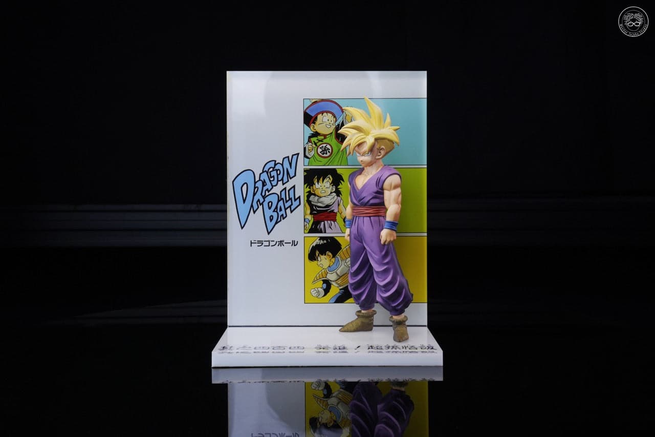 Dragon Ball Winter Dong Zao Studio Son Gohan 1
