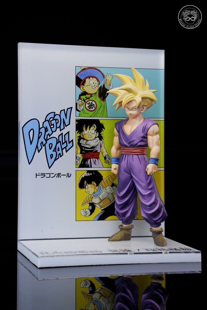Dragon Ball Winter Dong Zao Studio Son Gohan 2