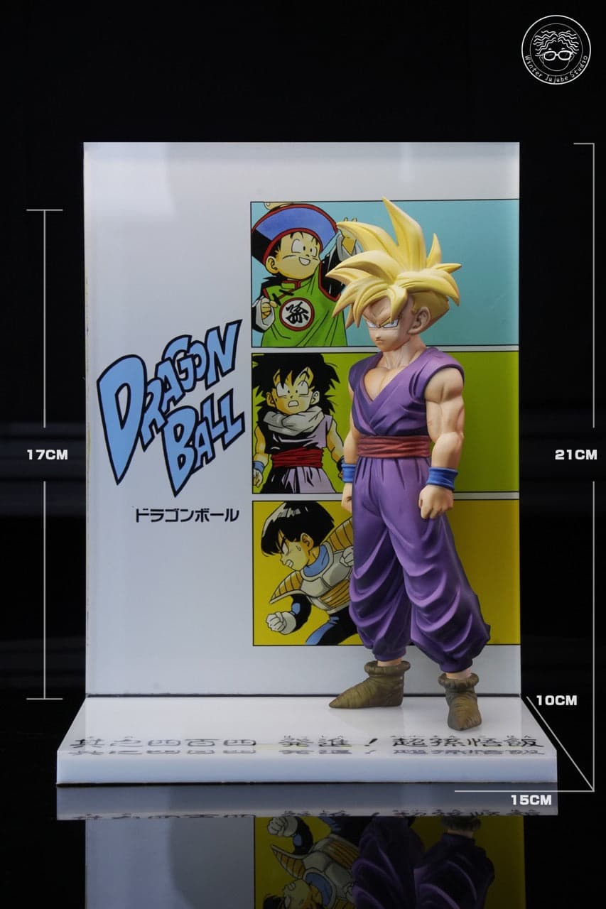 Dragon Ball Winter Dong Zao Studio Son Gohan 3