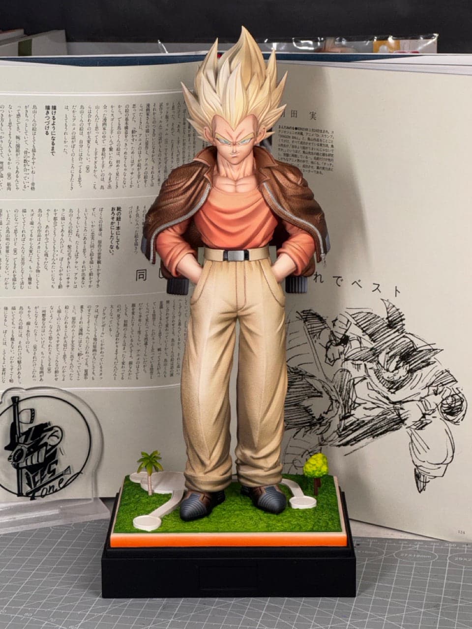 Dragon Ball Wish Studio Vegeta 3