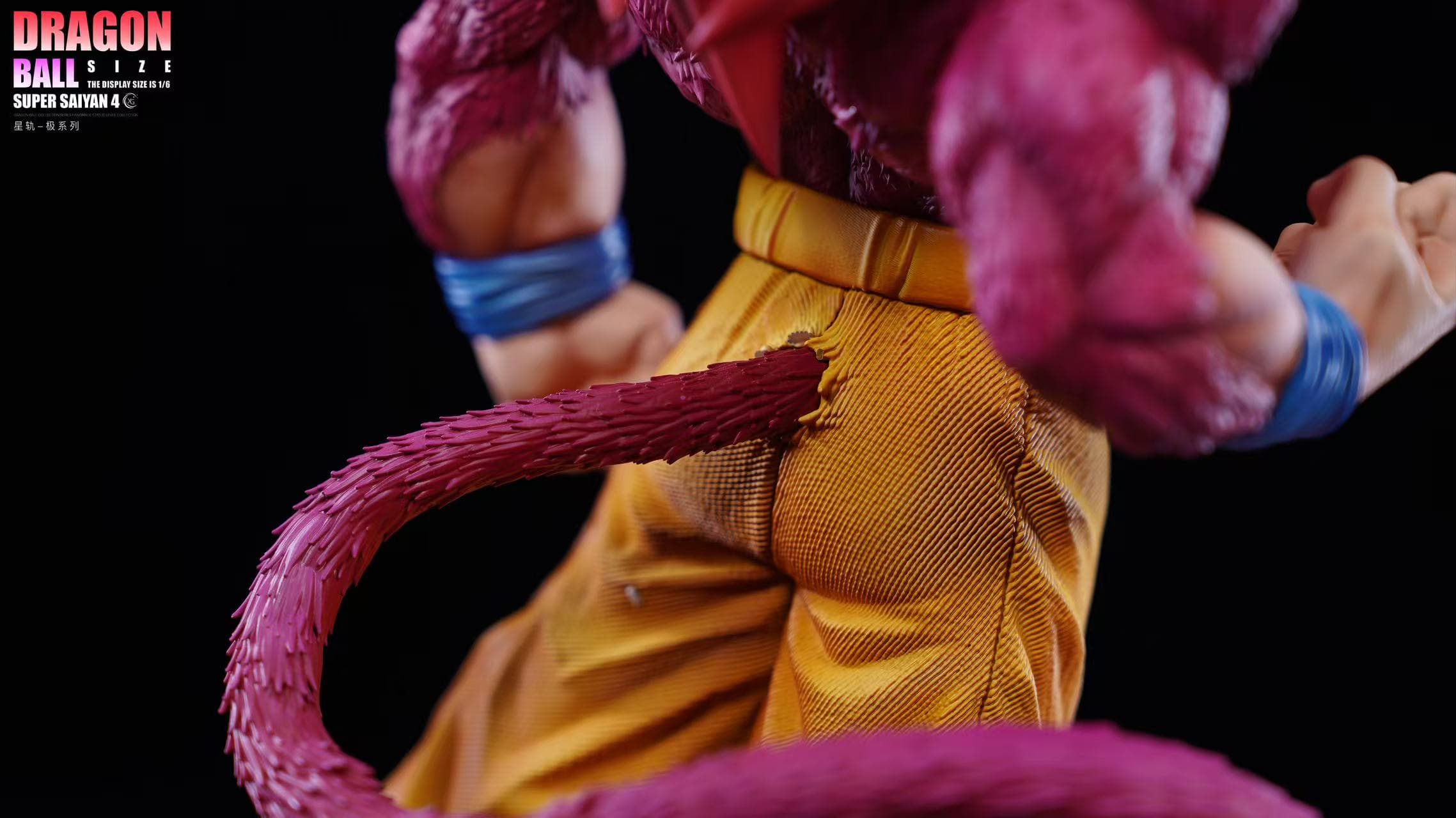 Dragon Ball XG Studio Daima SSJ4 Goku 5