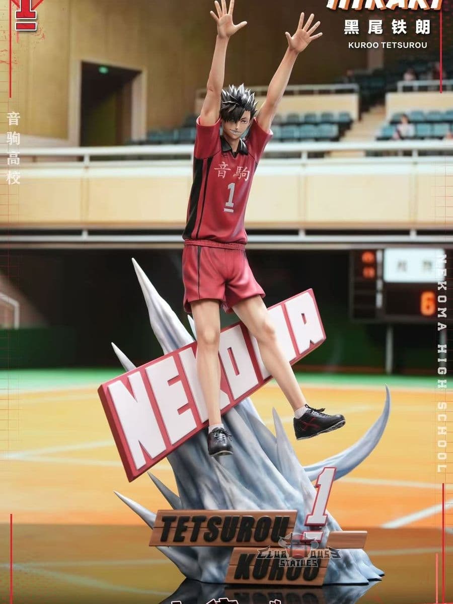 Haikyuu Hikari Studio Tetsuro Kuroo