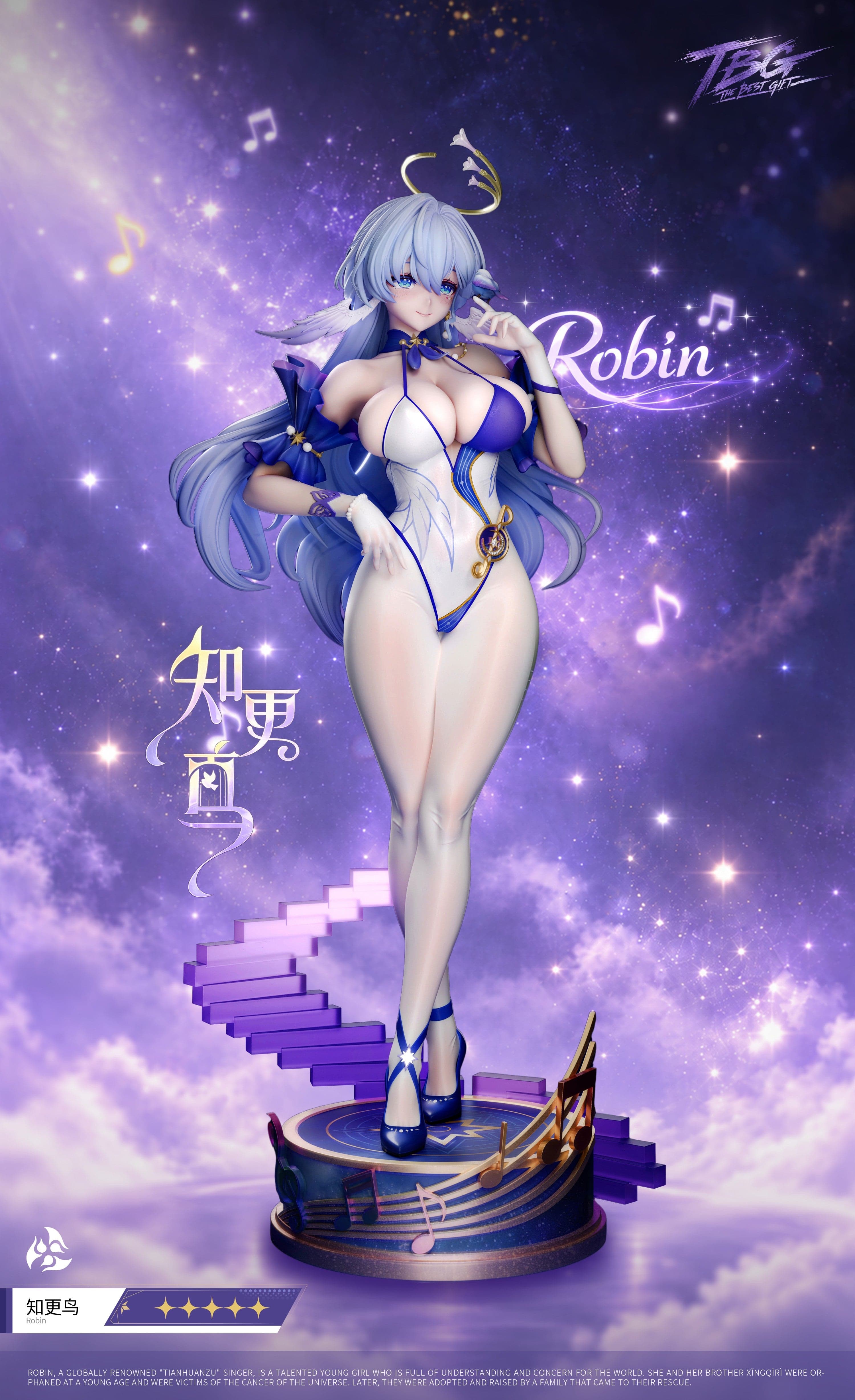 Honkai Star Rail TBG Studio Robin Fitness 1
