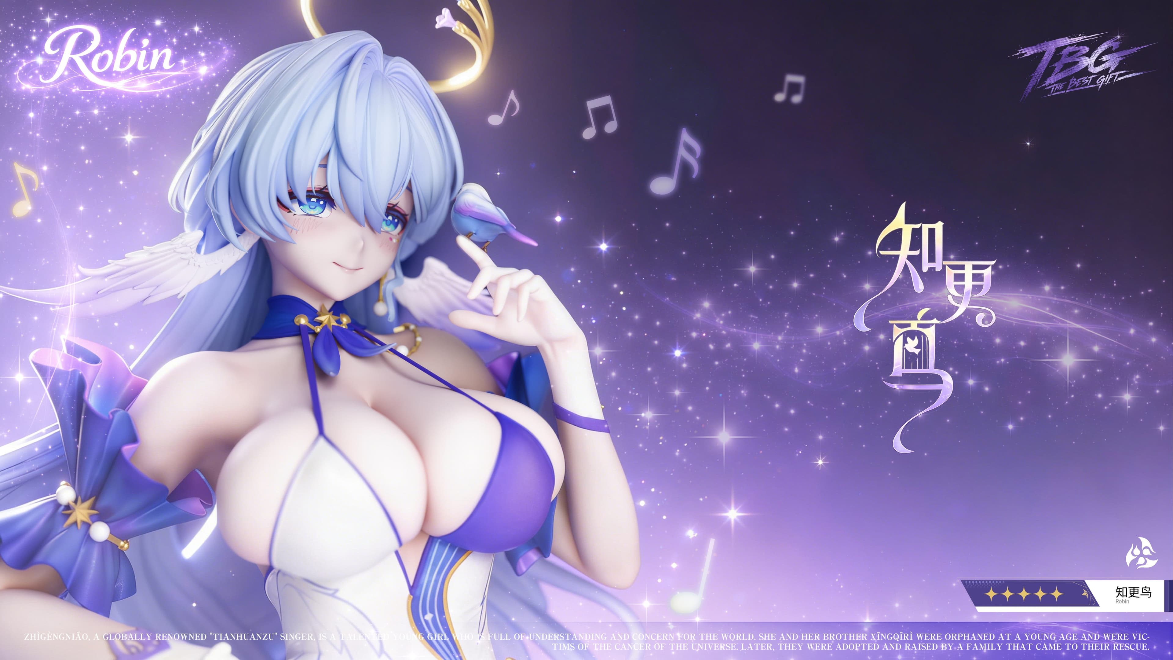 Honkai Star Rail TBG Studio Robin Fitness 5