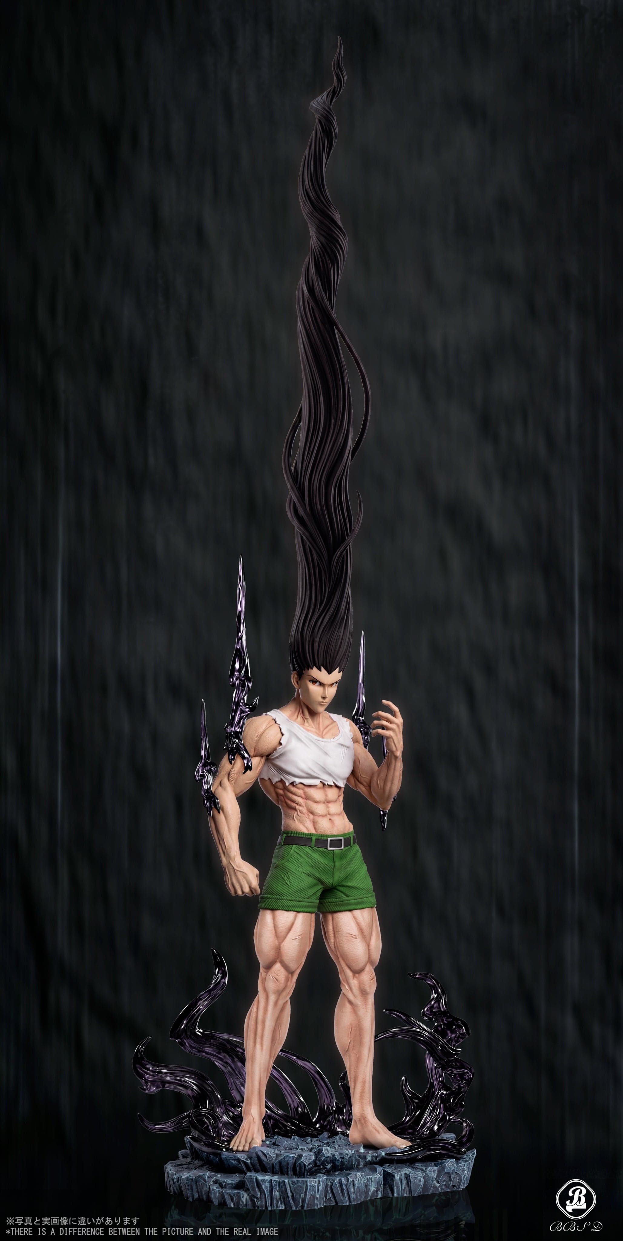 Hunter x Hunter BBSD Studio Dark Gon Frecss